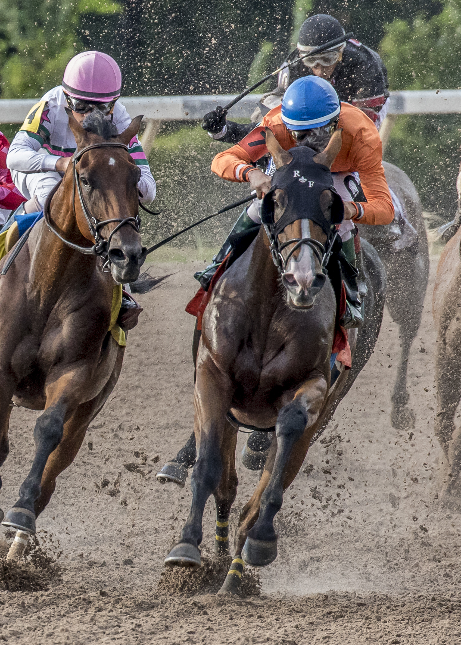 Monte Man in the 2018 Louisiana Cup Sprint