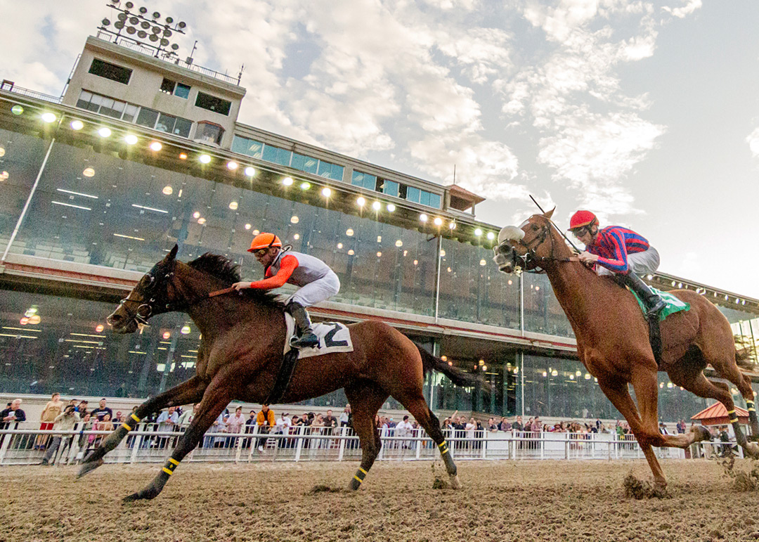 Monte Man wins the 2021 Louisiana Champions Day Sprint Stakes at Fair Grounds Race Course