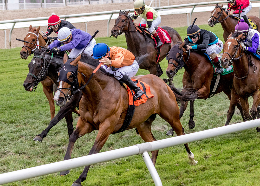 Monte Man (7) wins the 2020 Costa Rising Stake at Fair Grounds