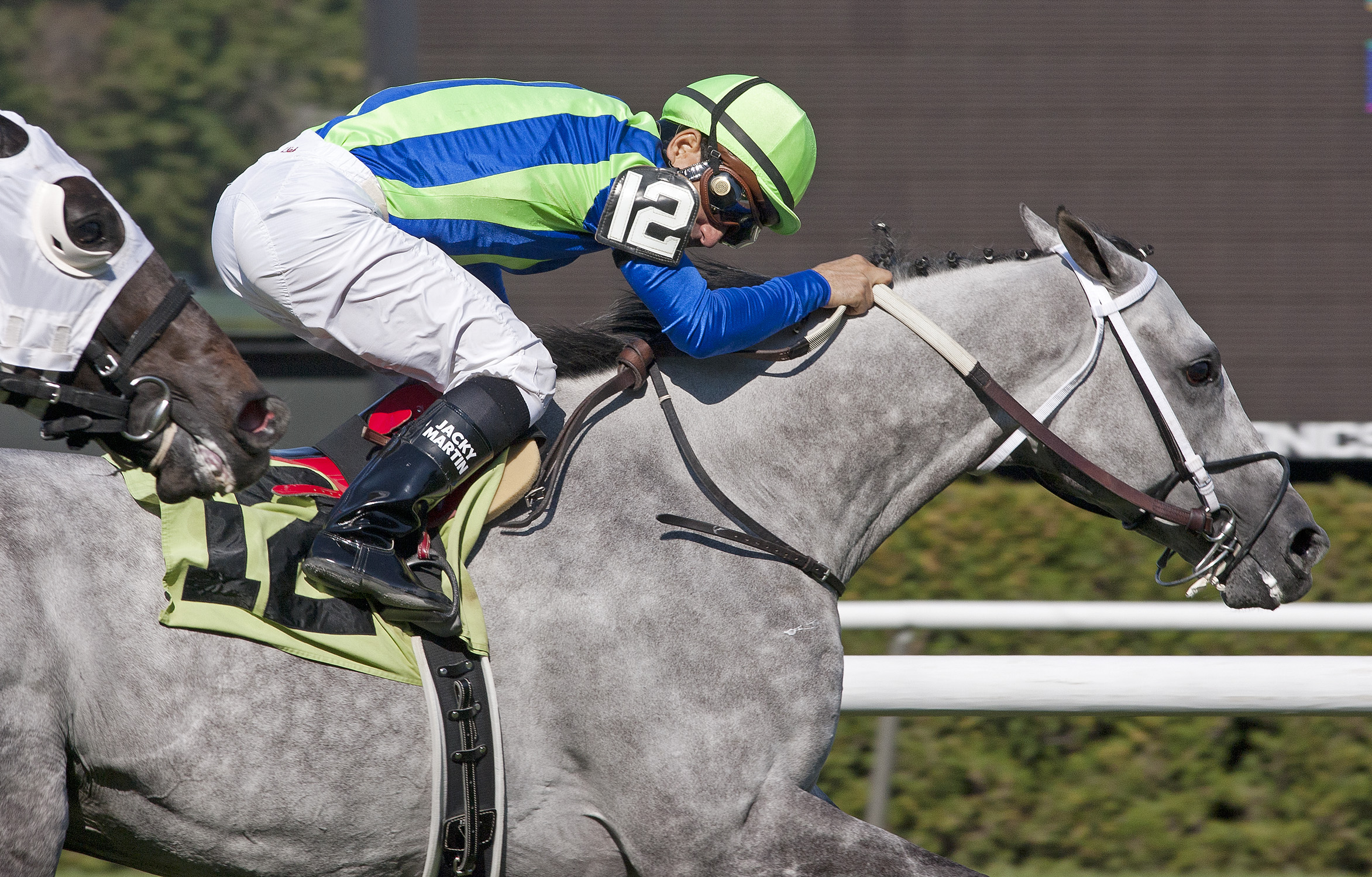 Monzante wins a 2011 claiming race