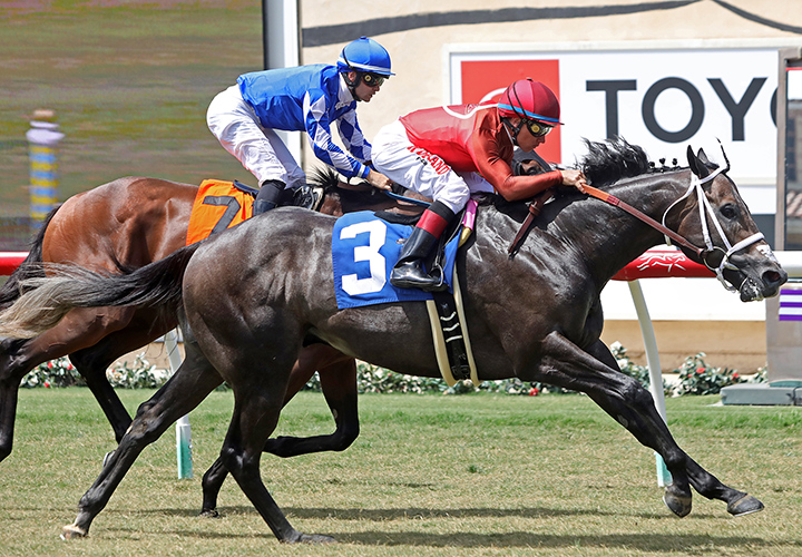 Moody Jim wins a July 27 maiden race at Del Mar