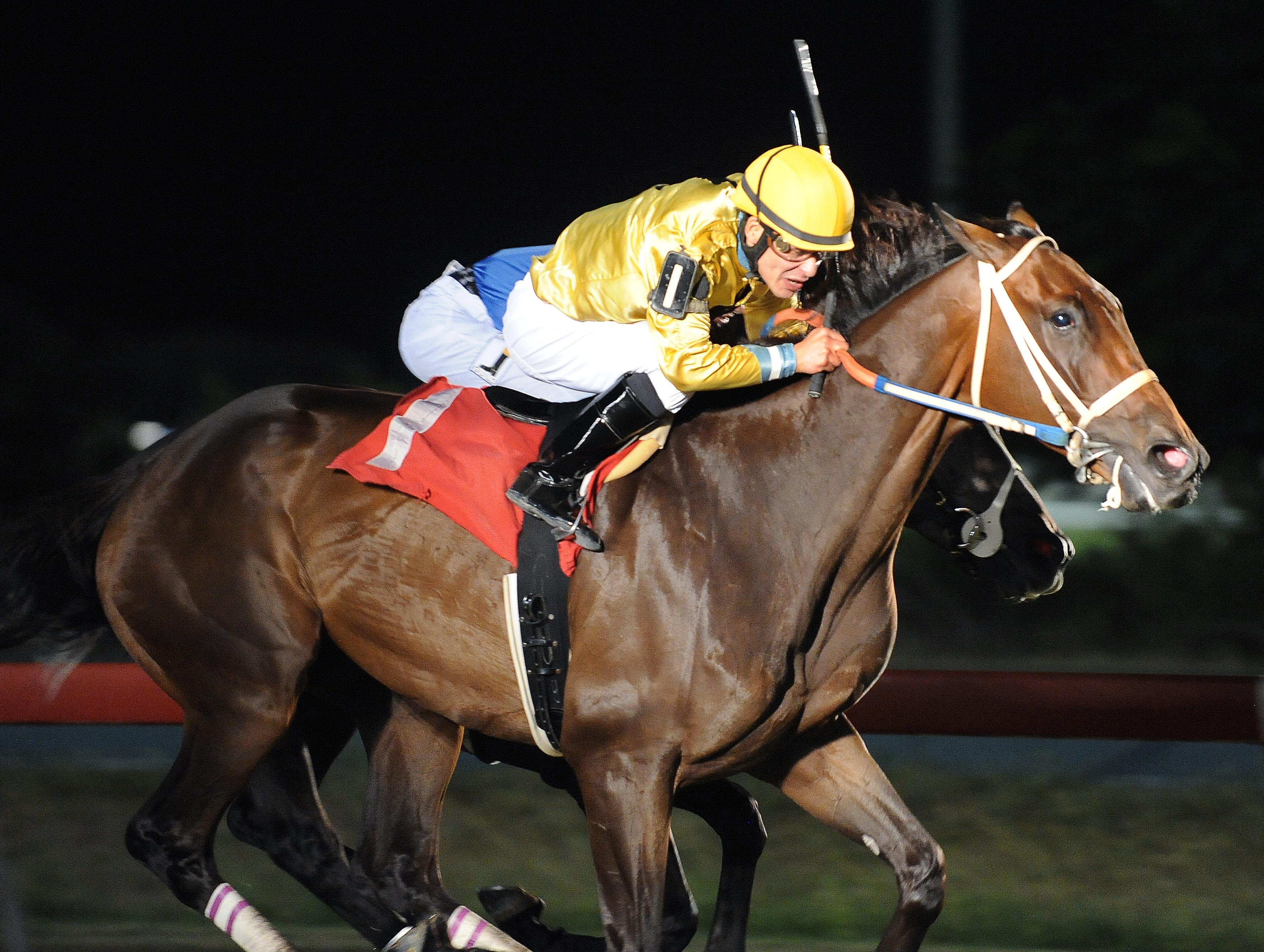 Moojab Jr. wins the Texas Horse Racing Hall of Fame
