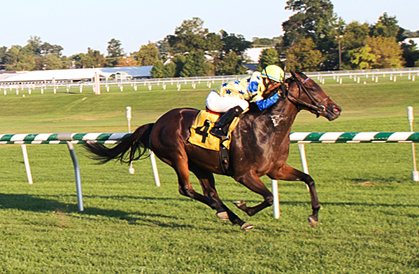 Moon Over Paris wins a maiden race