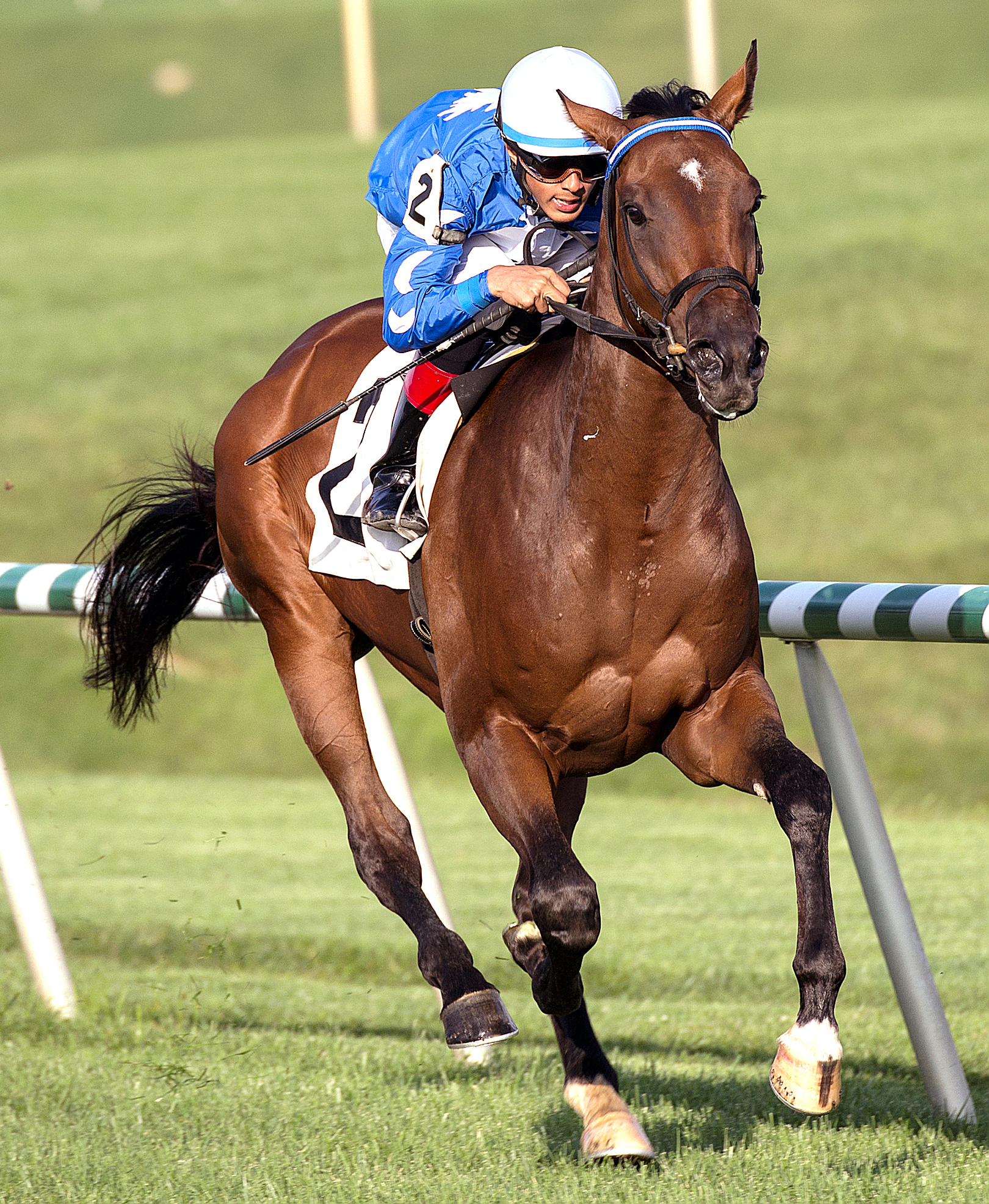 Moon River wins the Jamestown Stakes
