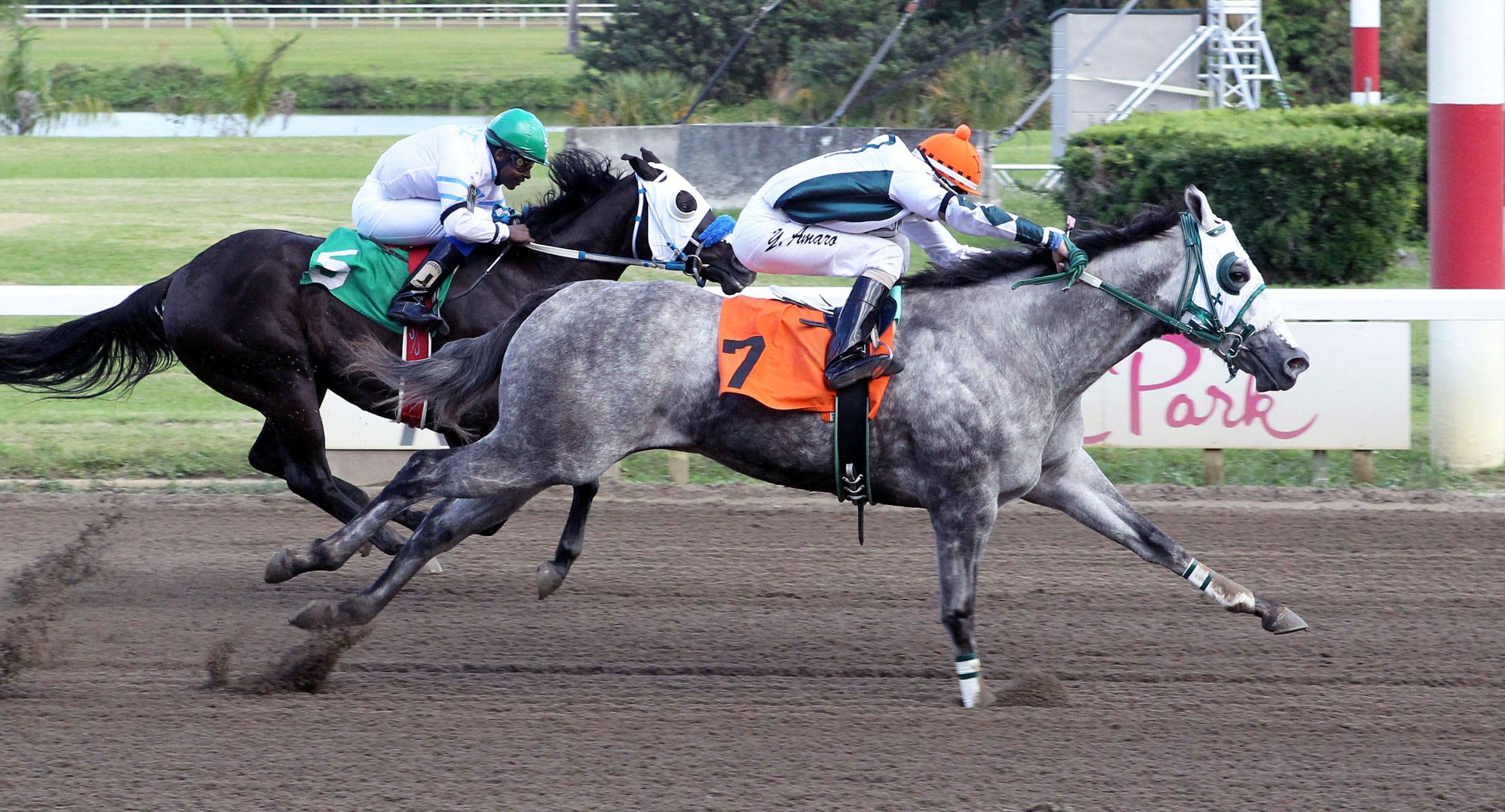 Moonin the Eagle wins a South Florida Quarter Horse Derby Trial