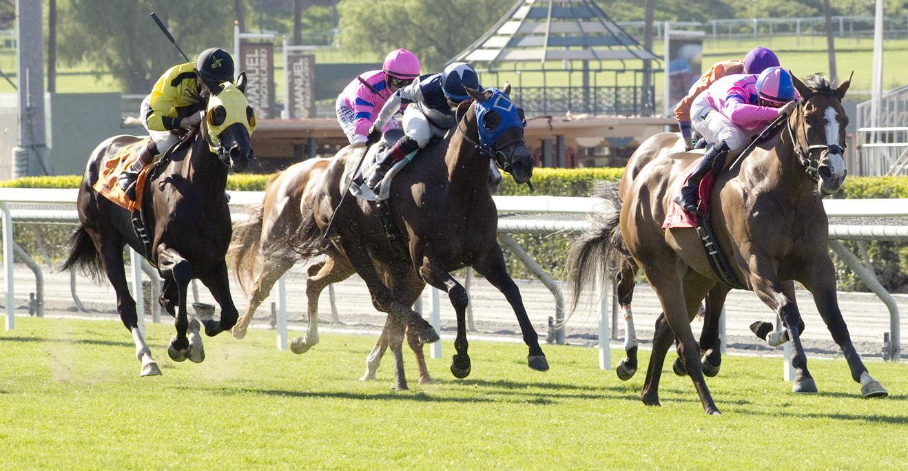Moonless Sky wins the 2017 Fran's Valentine