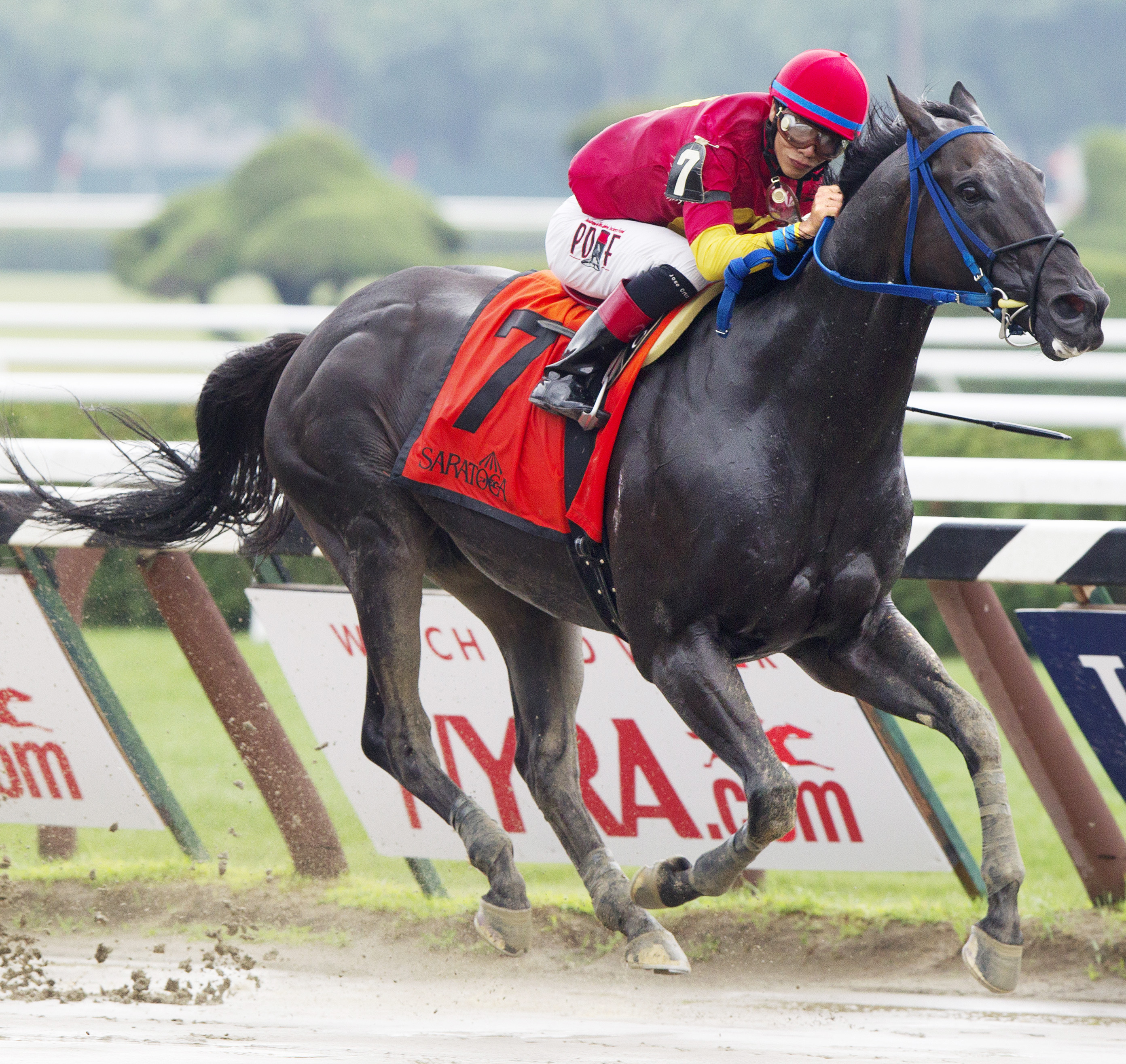 Moonlight Song wins the John Morrissey Stakes