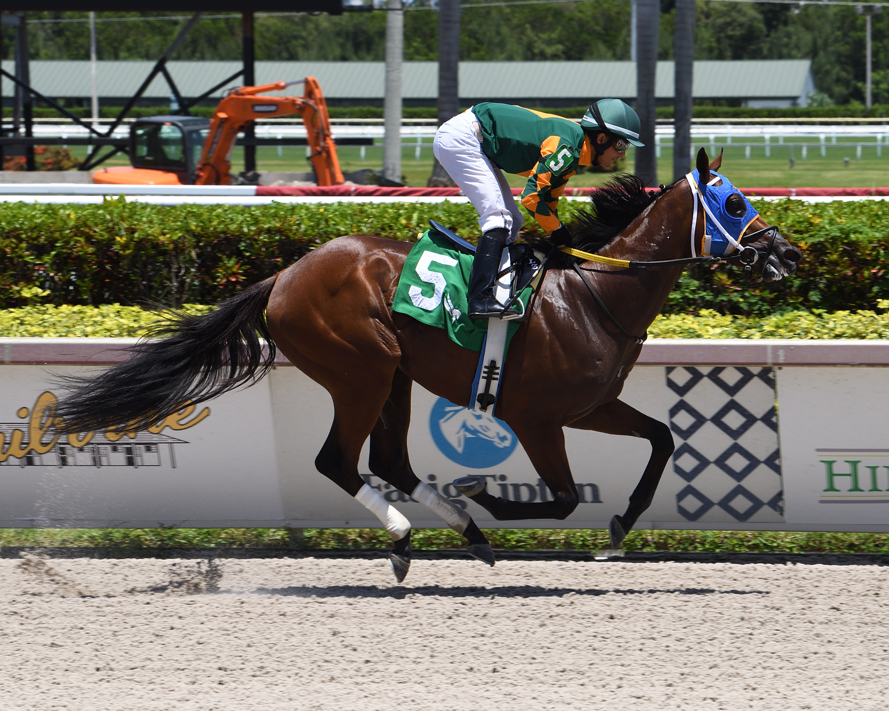 Moonlite Strike - Roar S. 2021
