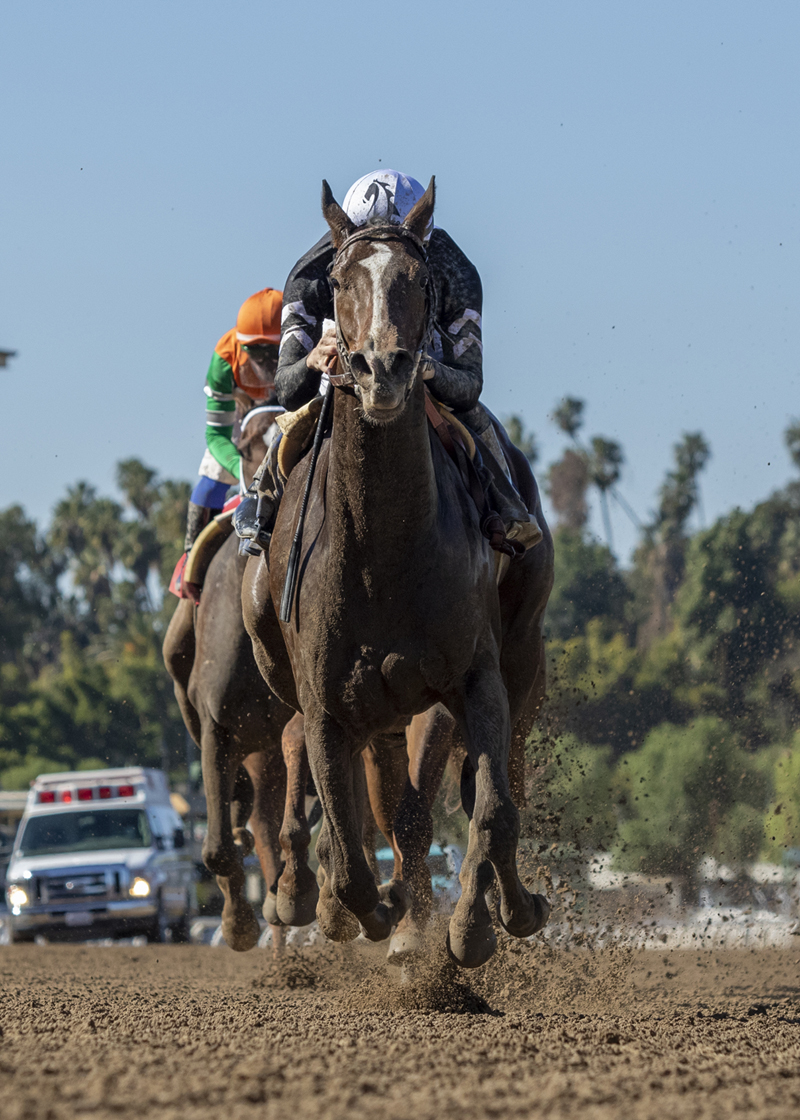 Moonlight d'Oro - Las Virgenes S.