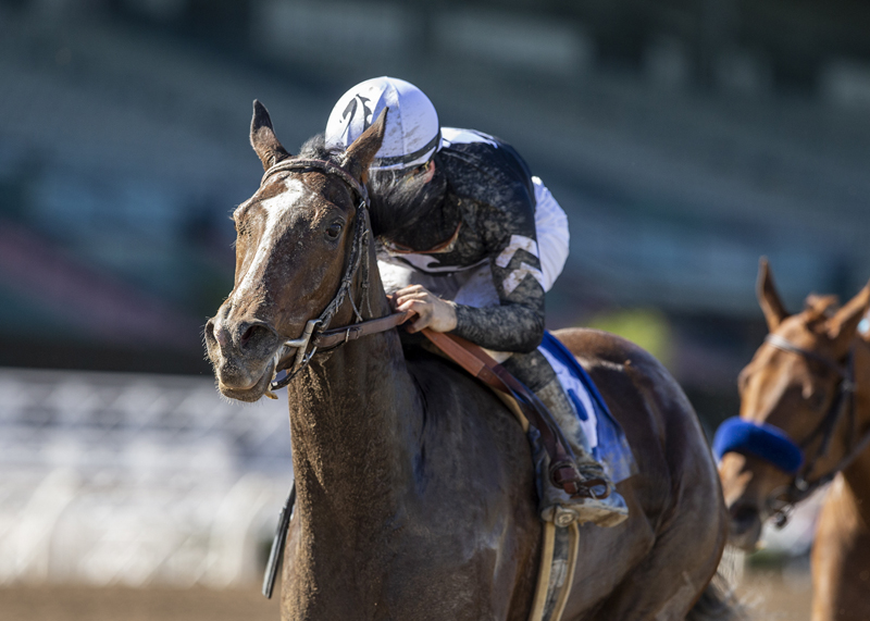 Moonlight d'Oro wins Las Virgenes 2-6-2021