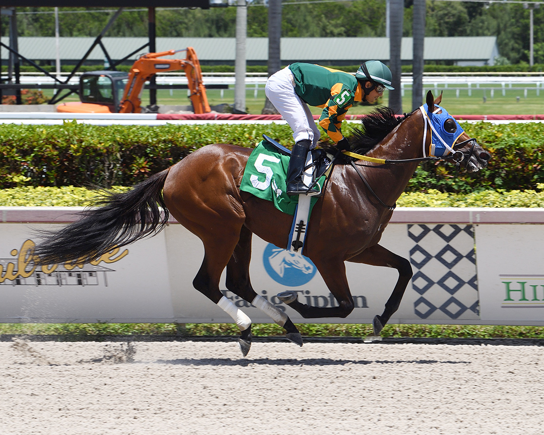 Moonlite Strike wins the 2021 Roar Stakes at Gulfstream Park