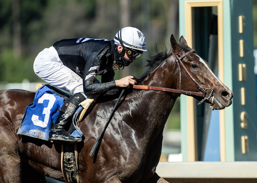 Moonlight d'Oro wins the 2021 Las Virgenes Stakes at Santa Anita