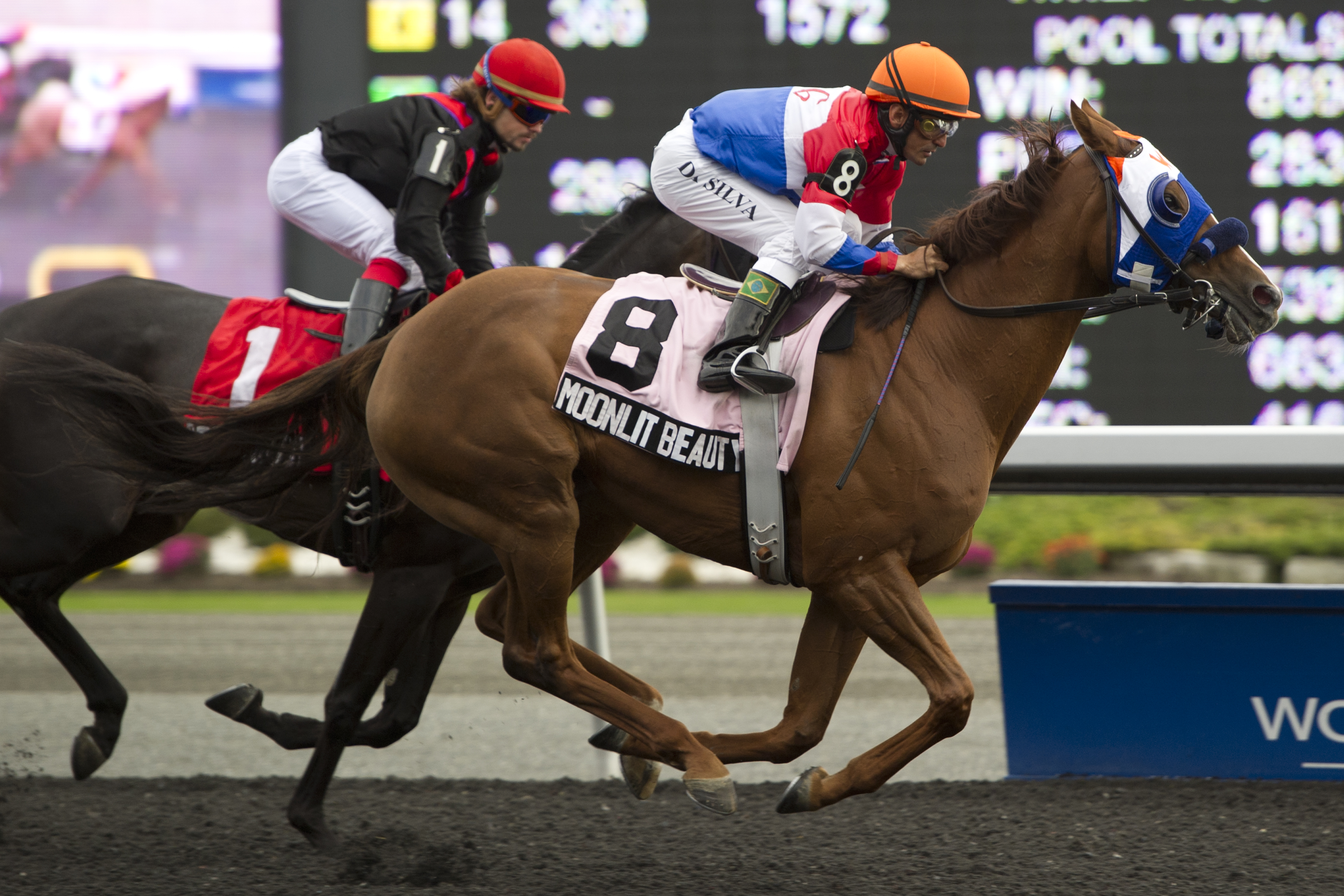 Moonlit Beauty, Classy 'N Smart Stakes