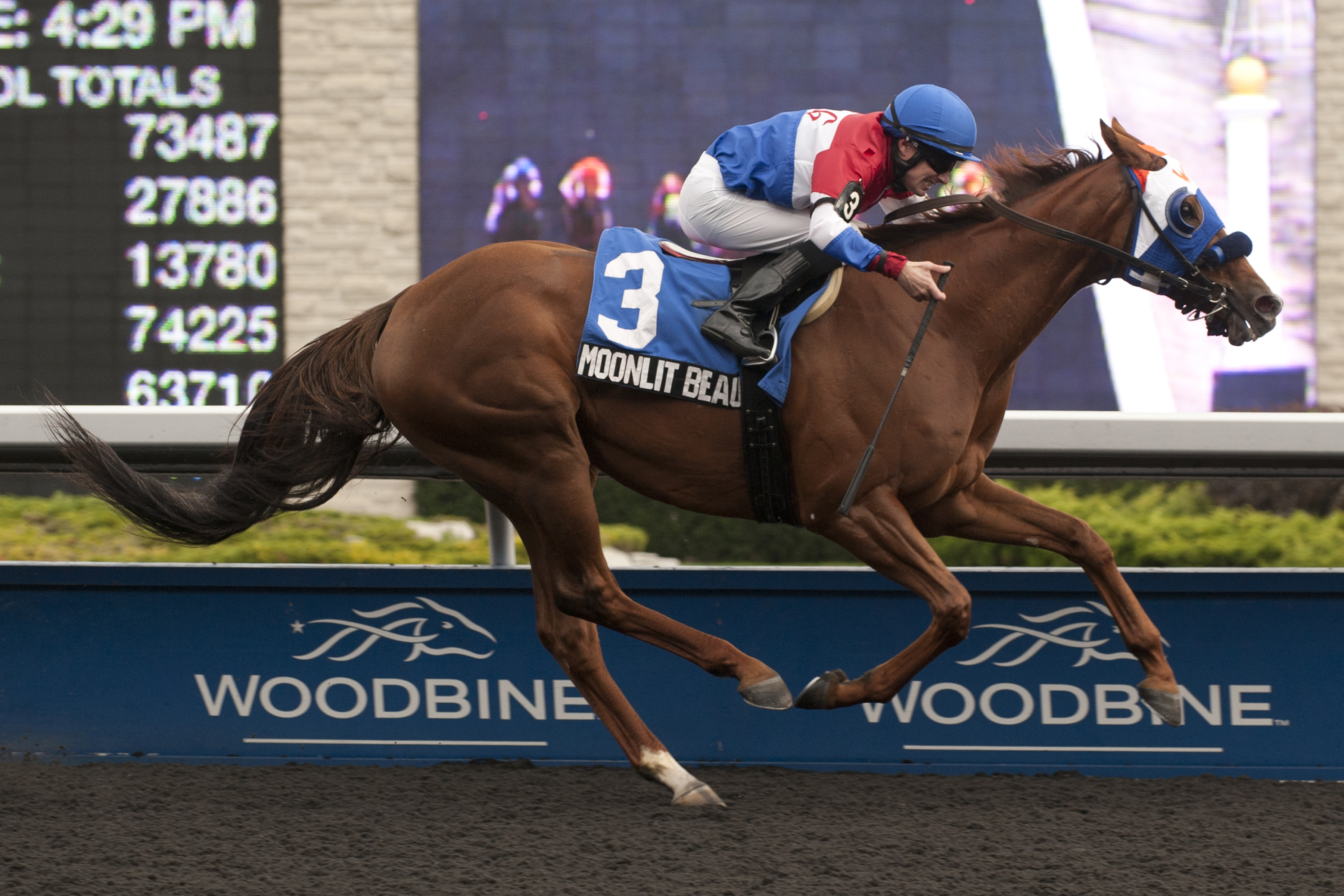 Moonlit Beauty, Classy 'n Smart Stakes