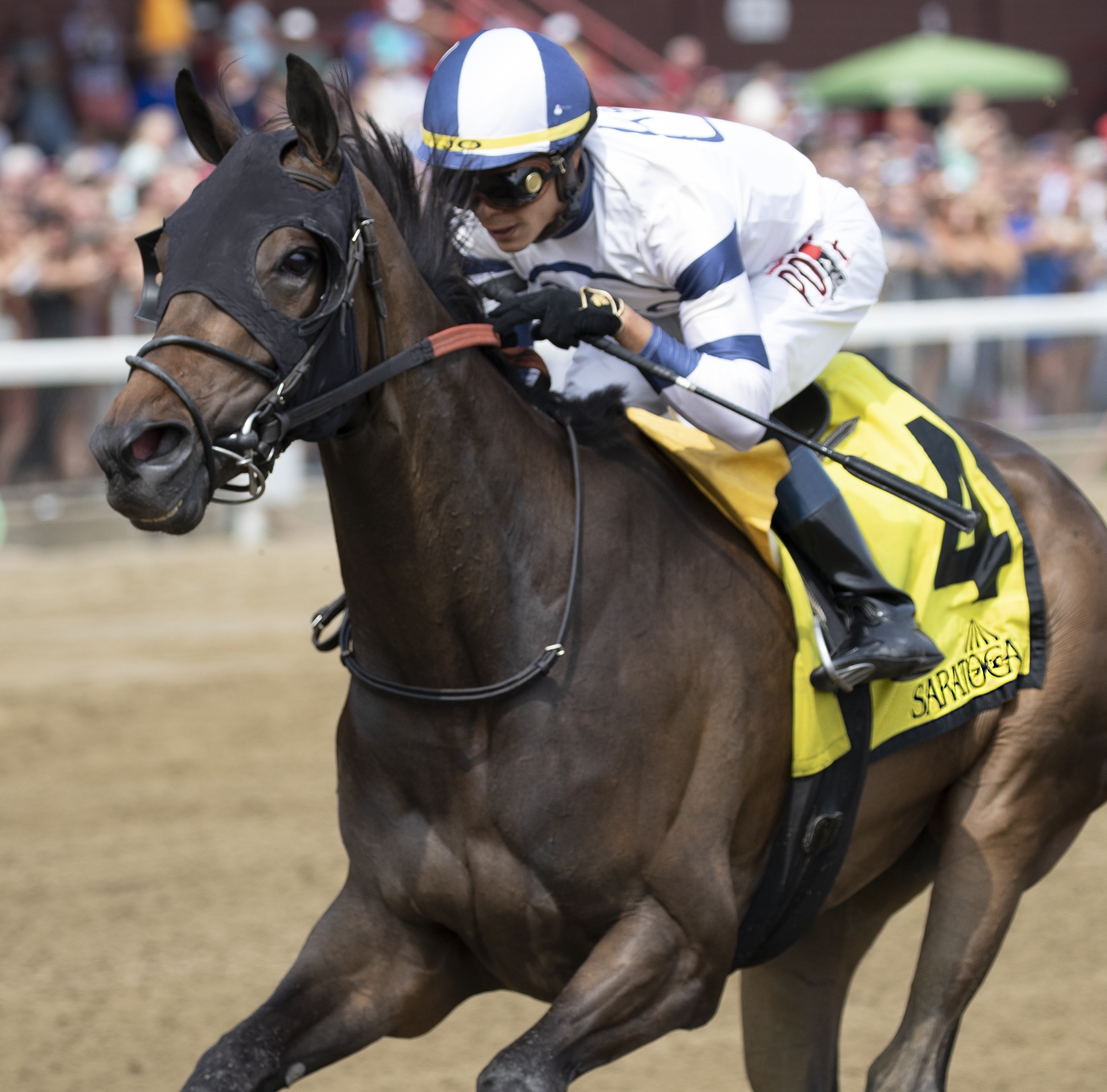 Moonlit Garden wins the 2018 Summer Colony Stakes