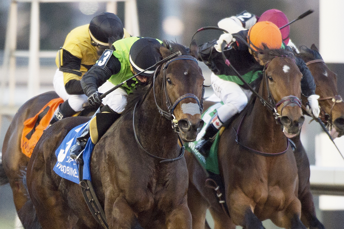 Moonlit Promise wins the 2017 Bessarabian Stakes
