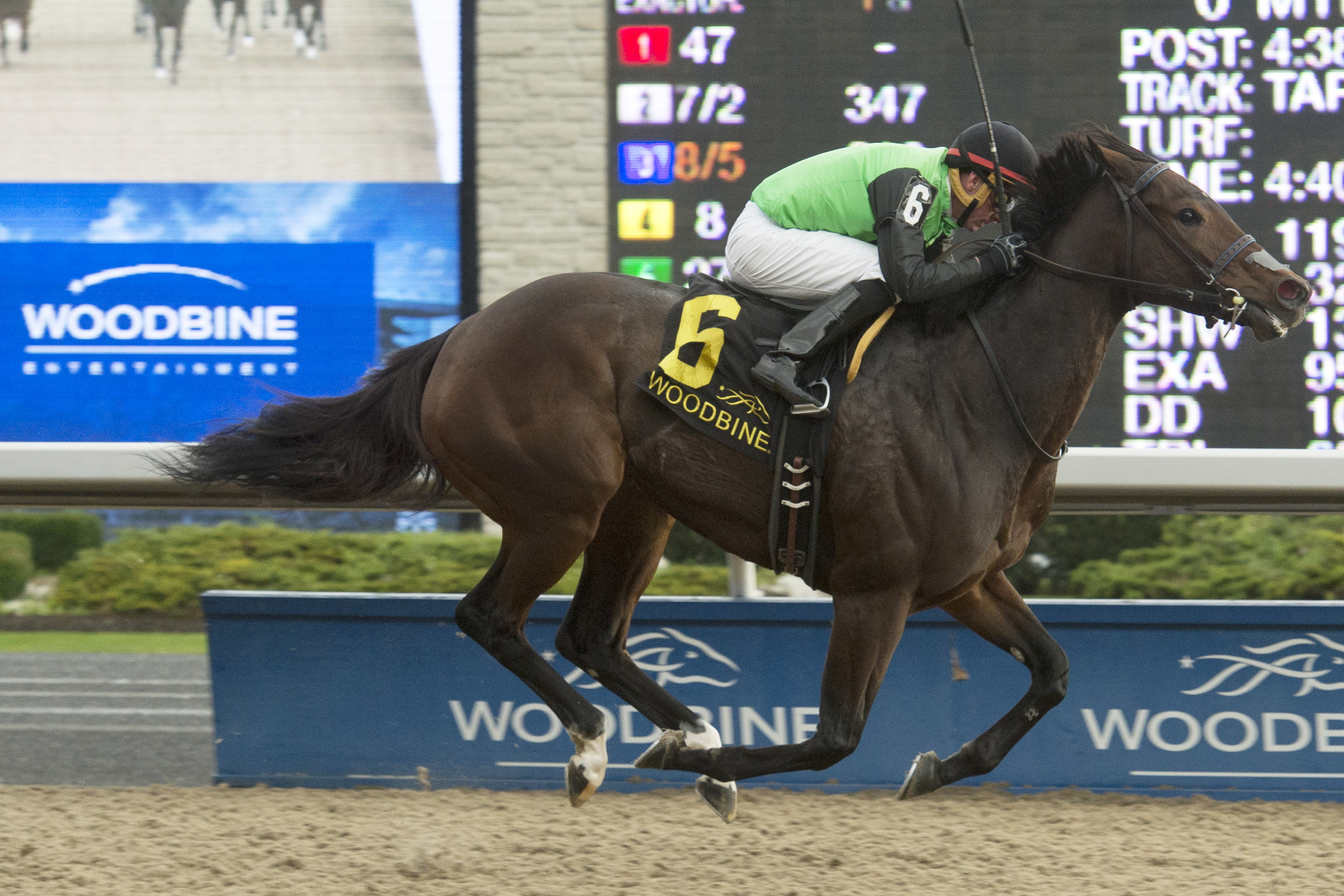 Moonlit Promise wins the 2017 Ontario Fashion Stakes