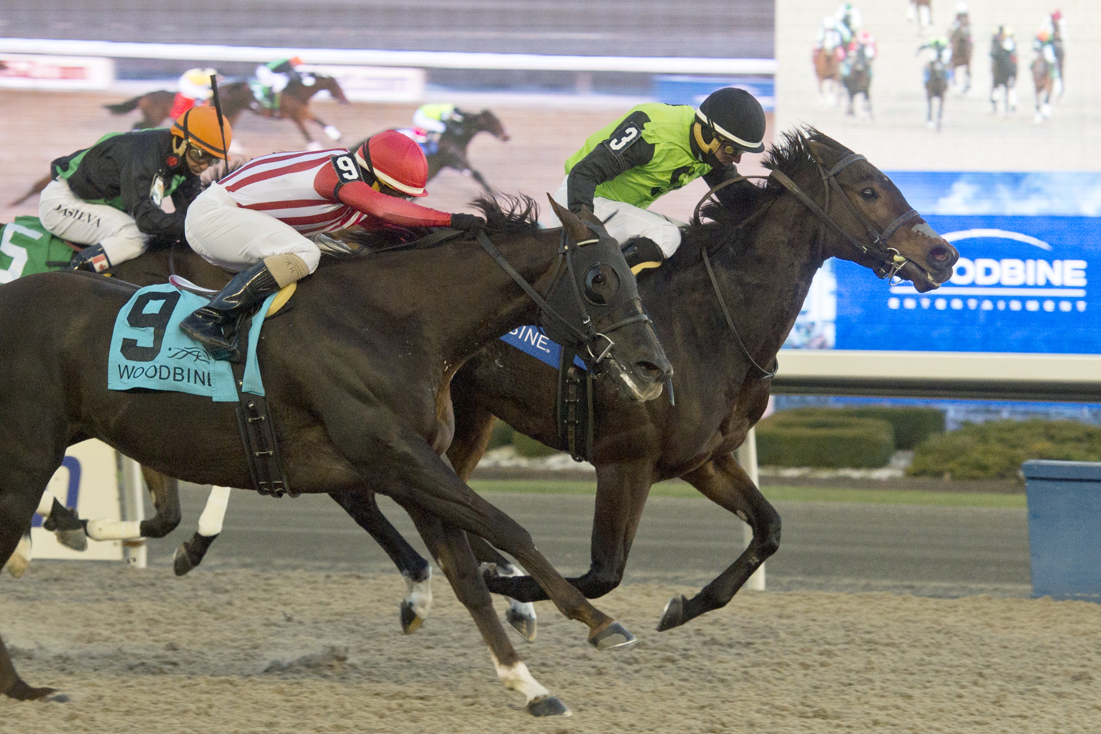 Scotty's Model finishes second in the 2017 Bessarabian