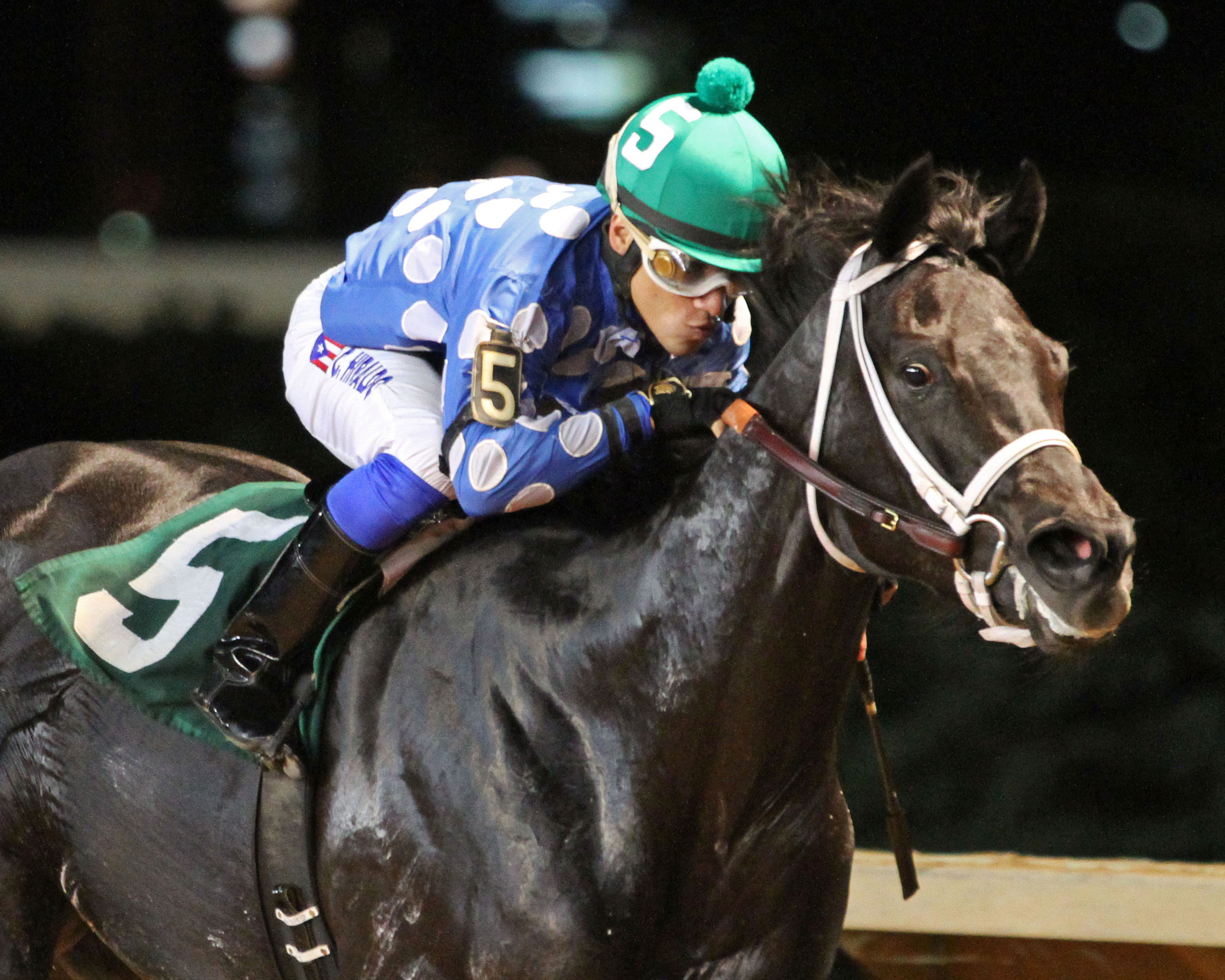 Moonlit Song wins the 2017 Fancy Buckles Stakes