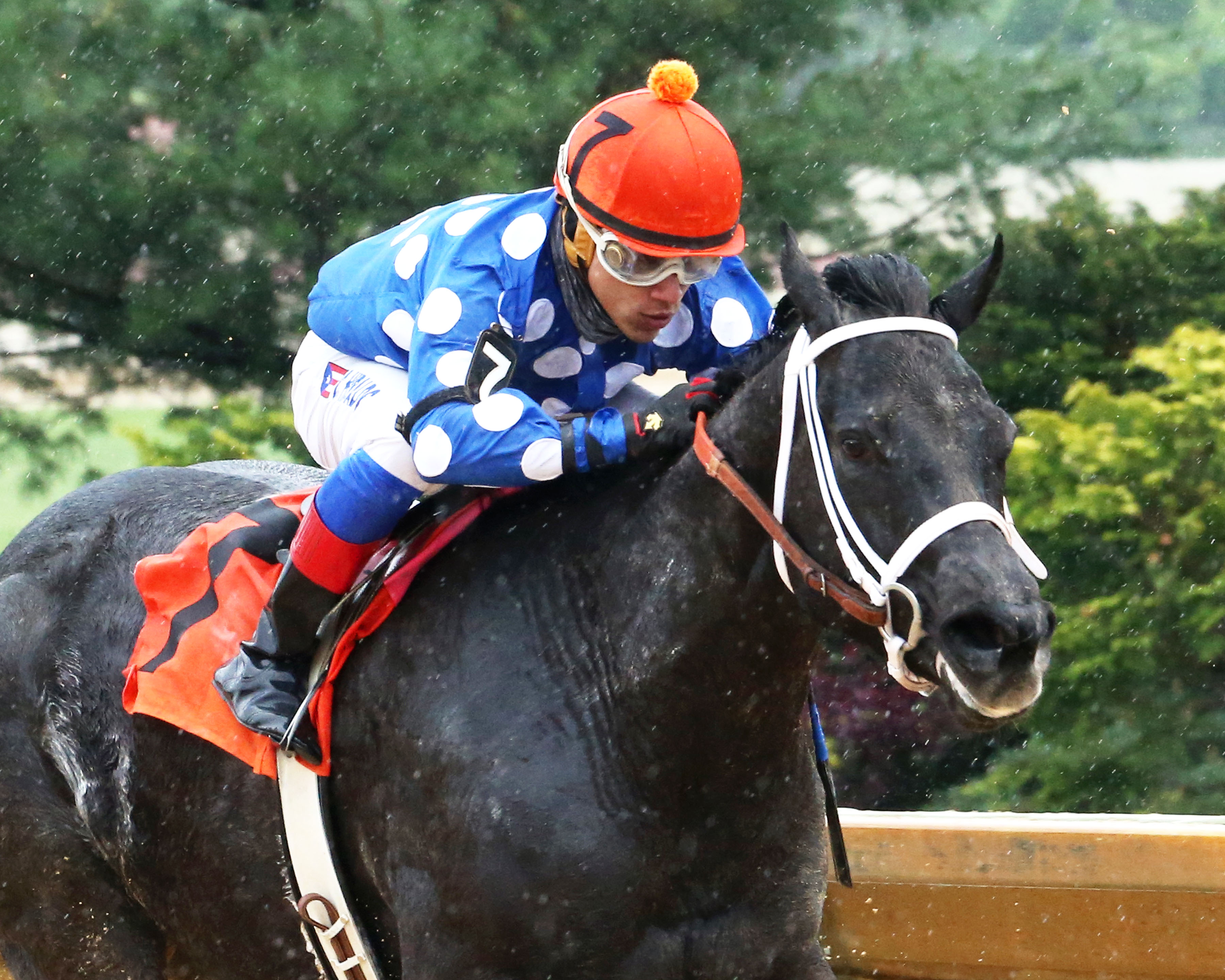 Moonlit Song wins the It's Binn Too Long Stakes