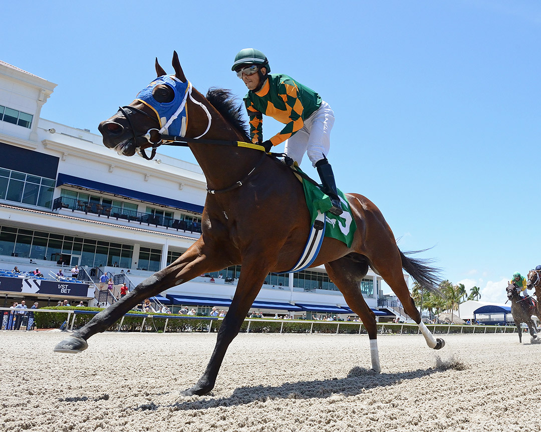 Moonlite Strike wins the 2021 Roar Stakes at Gulfstream Park