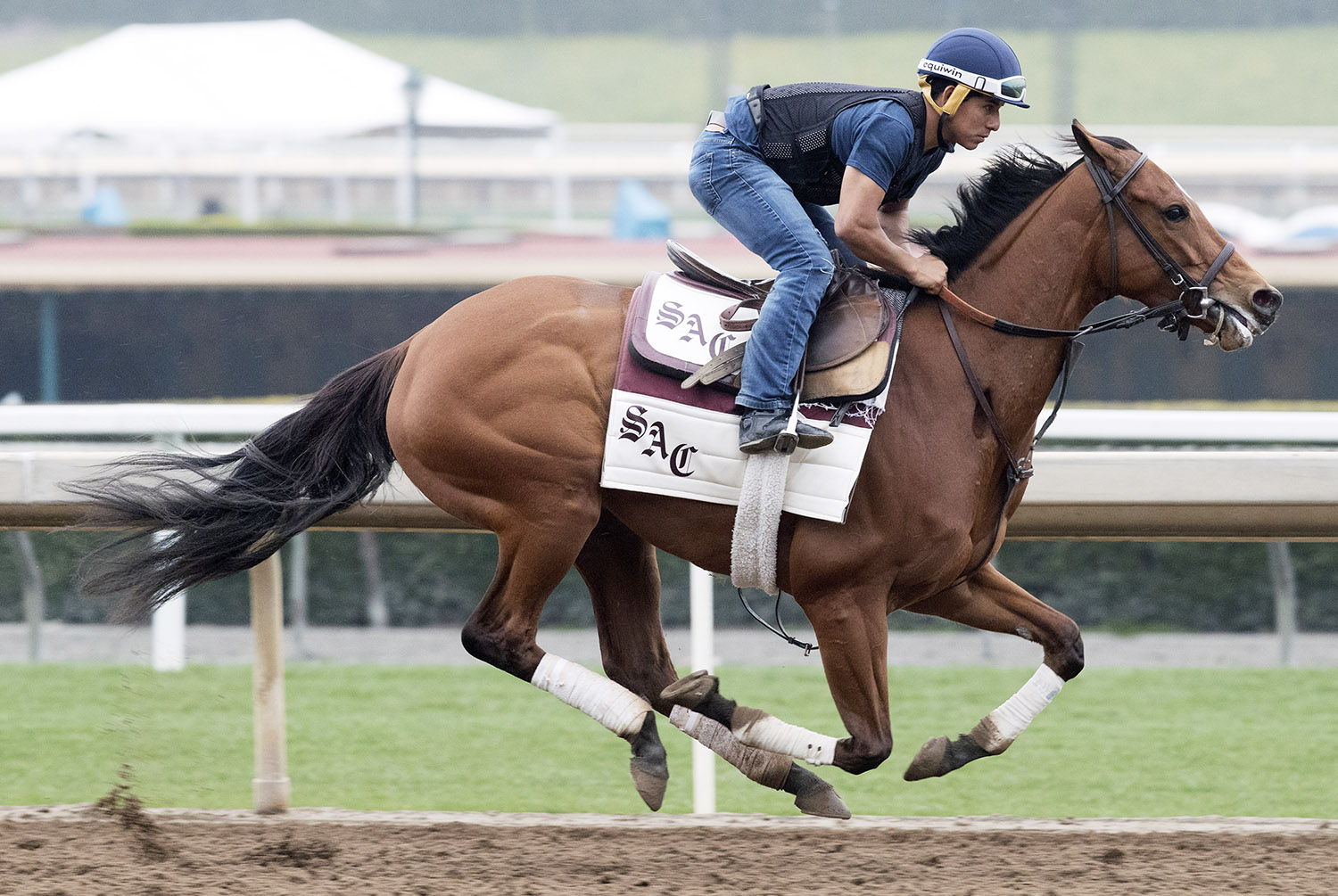 Moonshine Memories trains at Santa Anita Park on March 10
