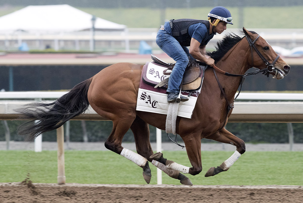 Moonshine Memories trains on March 10