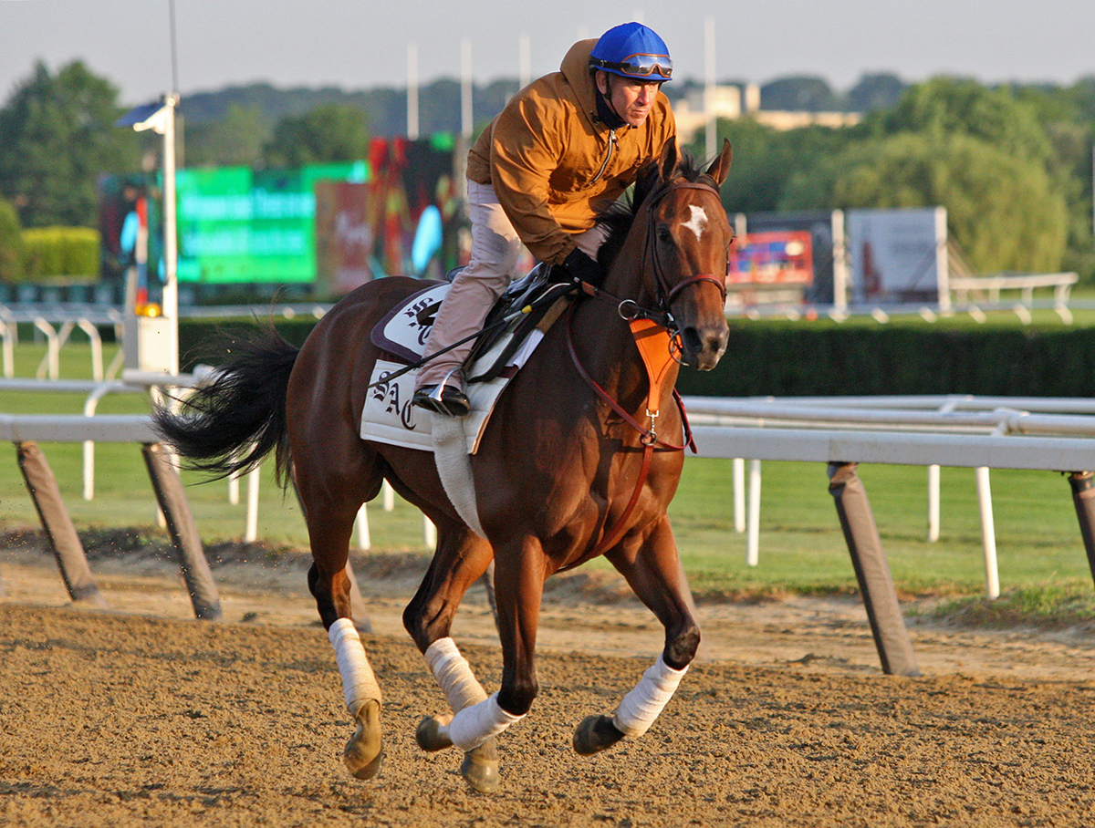 Moonshine Memories trains at Belmont on June 8