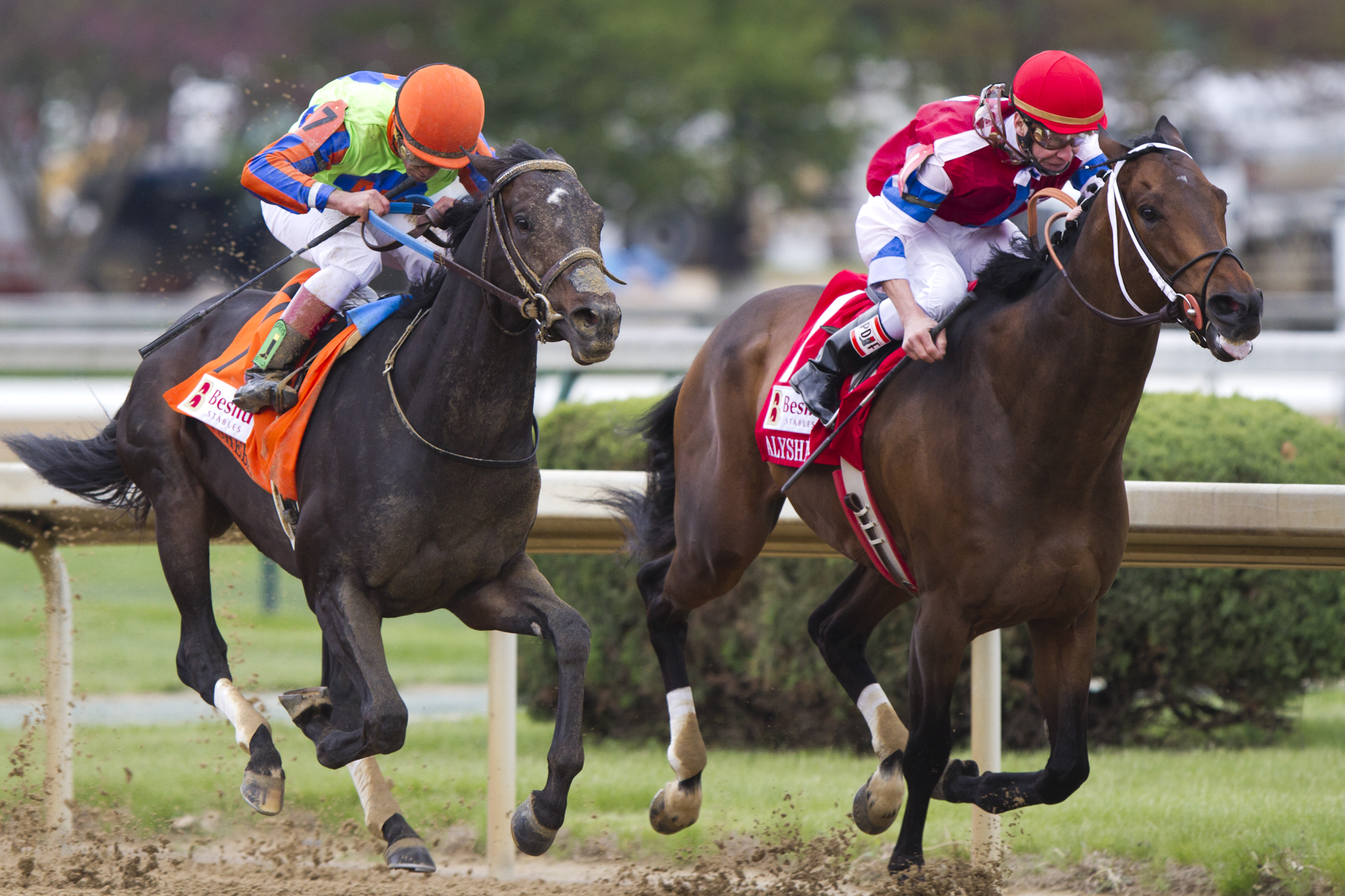Moonshine Mullin wins the Alysheba