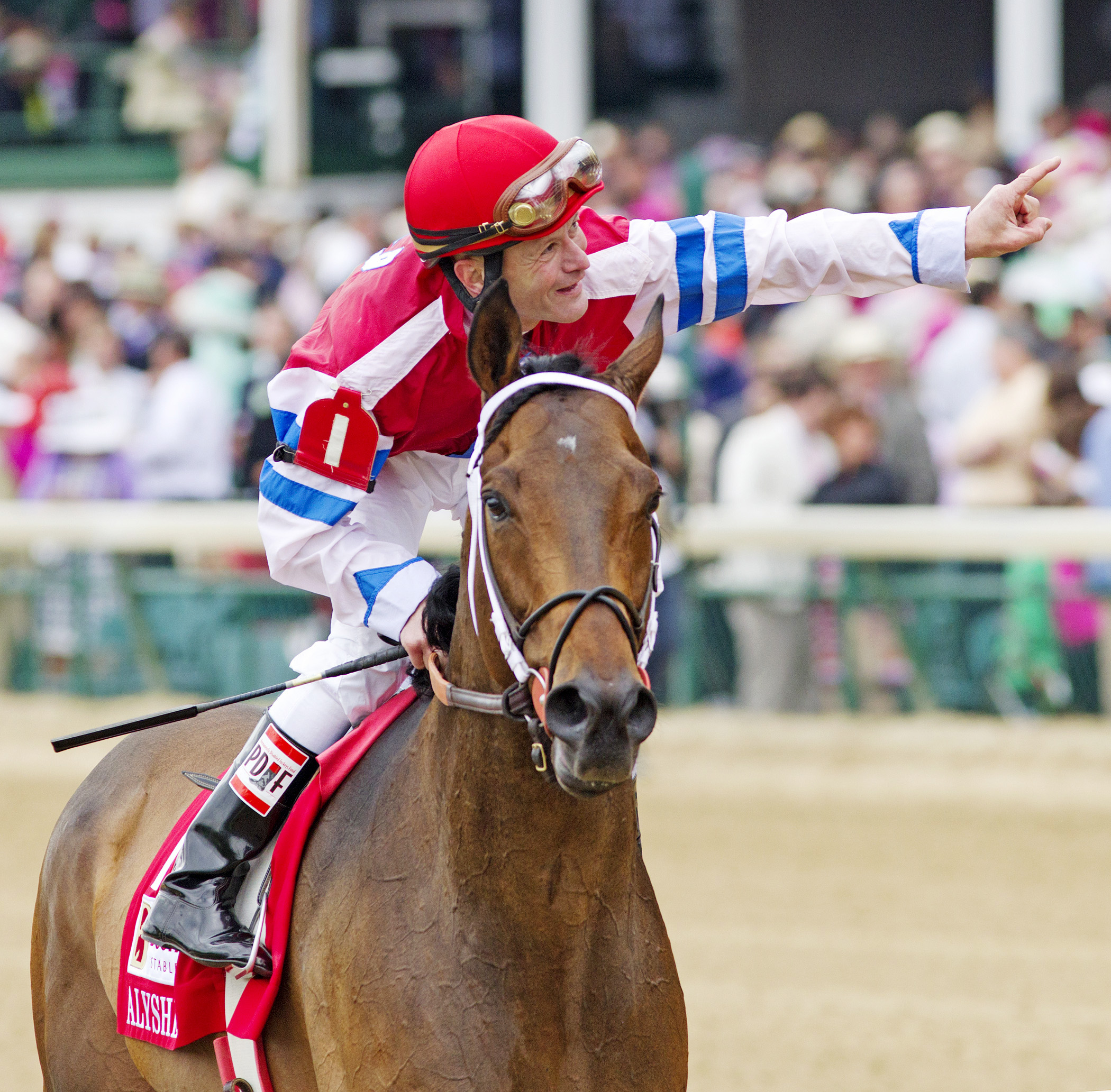 Calvin Borel after winning the 2014 Alysheba aboard Moonshine Mullin
