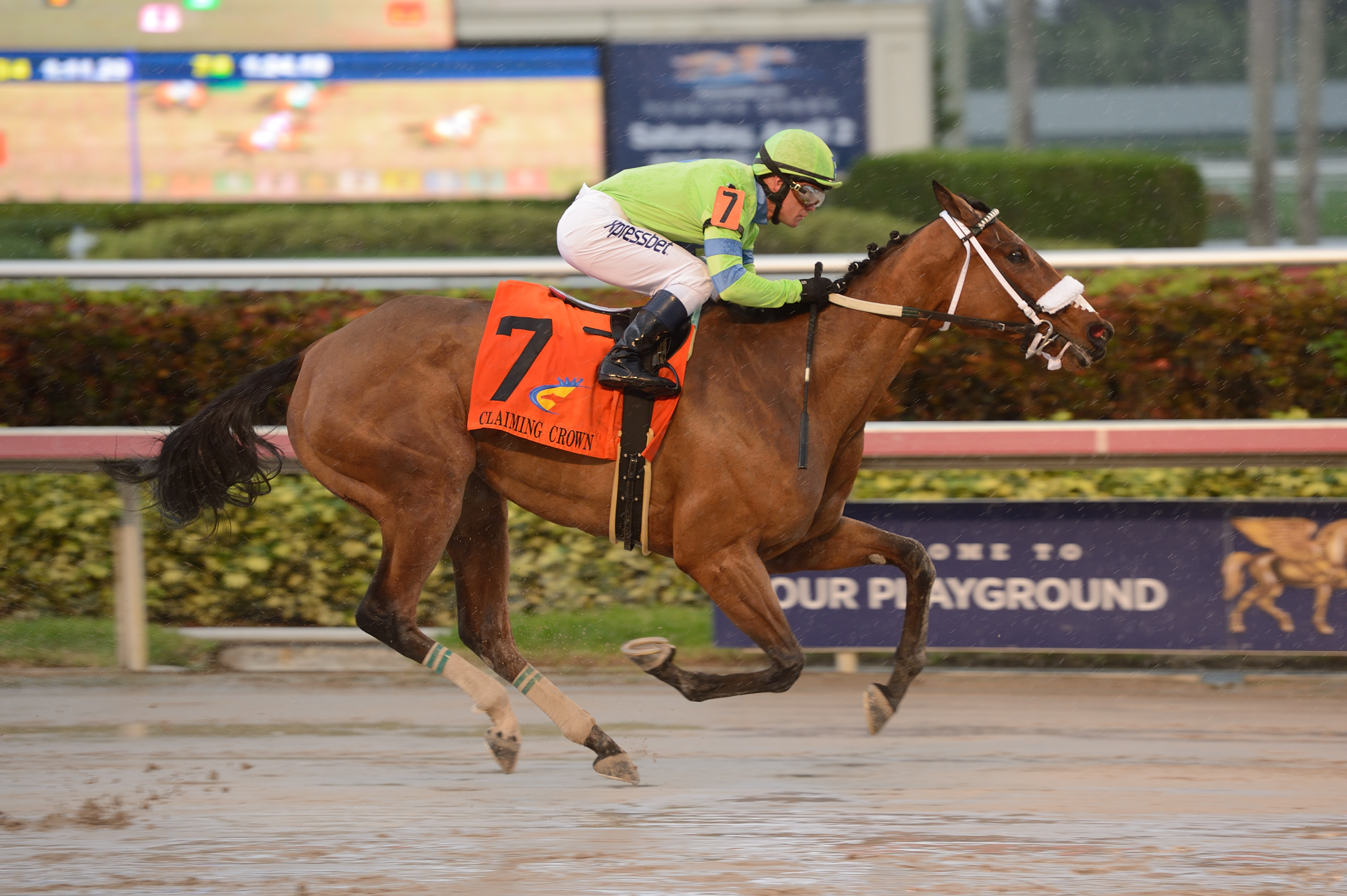 Moonshine Promise wins 2015 Claiming Crown Glass Slipper