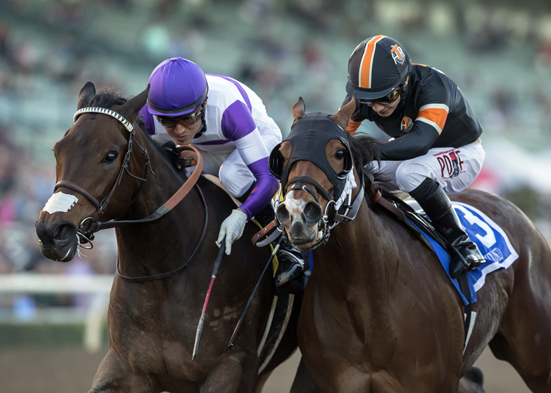 Mopotism (purple cap) wins the 2018 La Canada Stakes