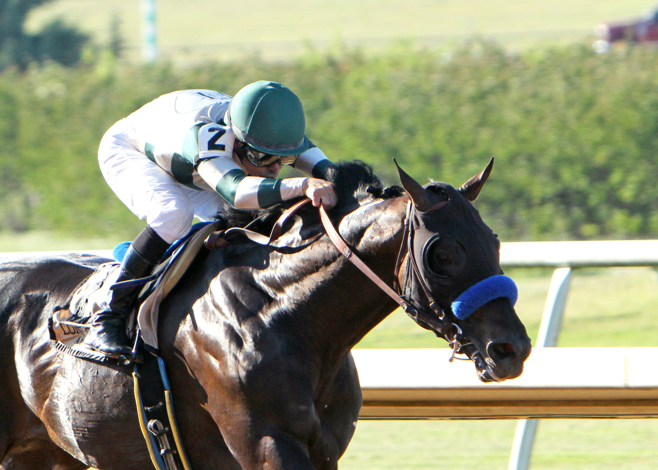 Mor Spirit wins the Steve Sexton Mile