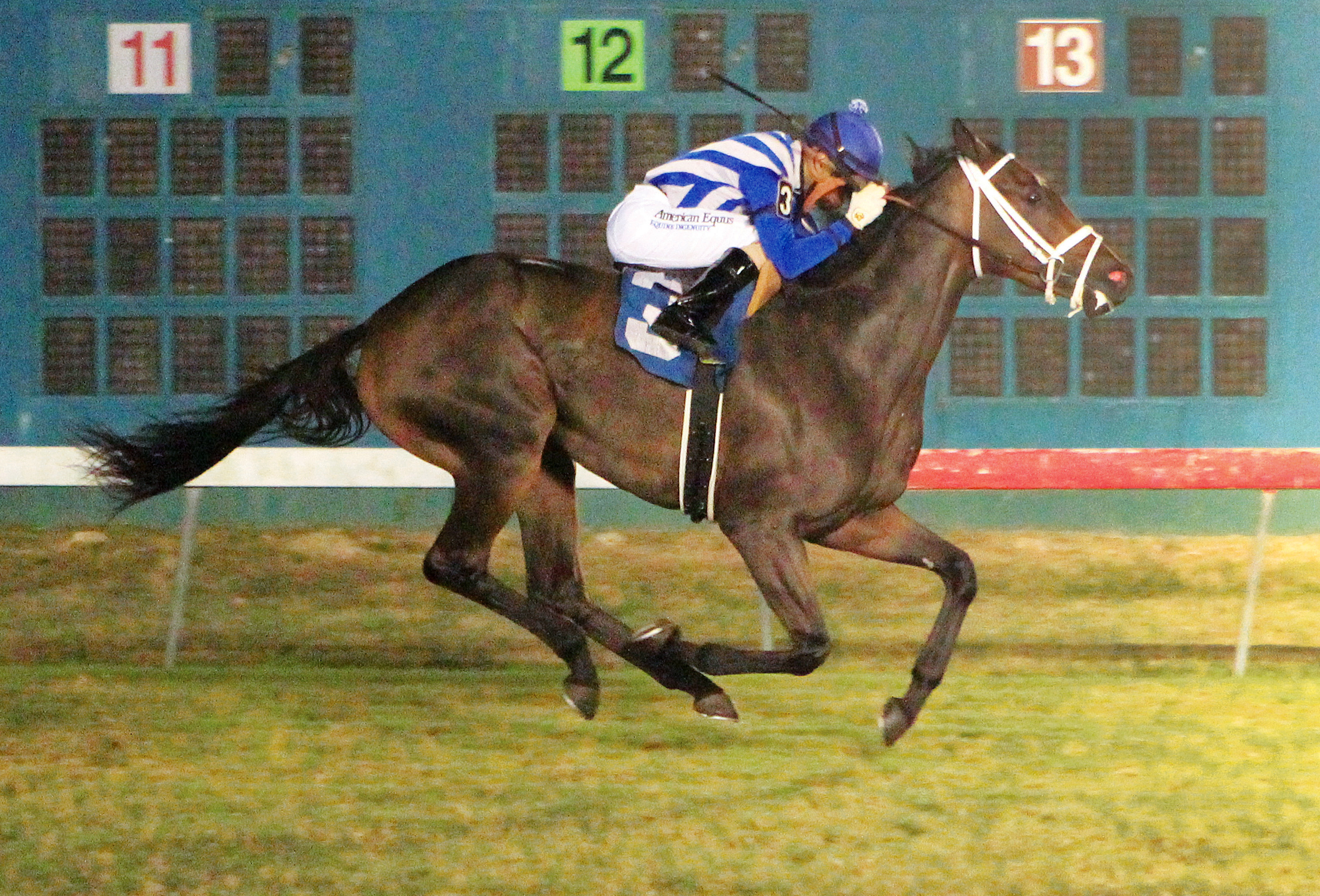 More Than Most wins the Fiesta Mile Stakes