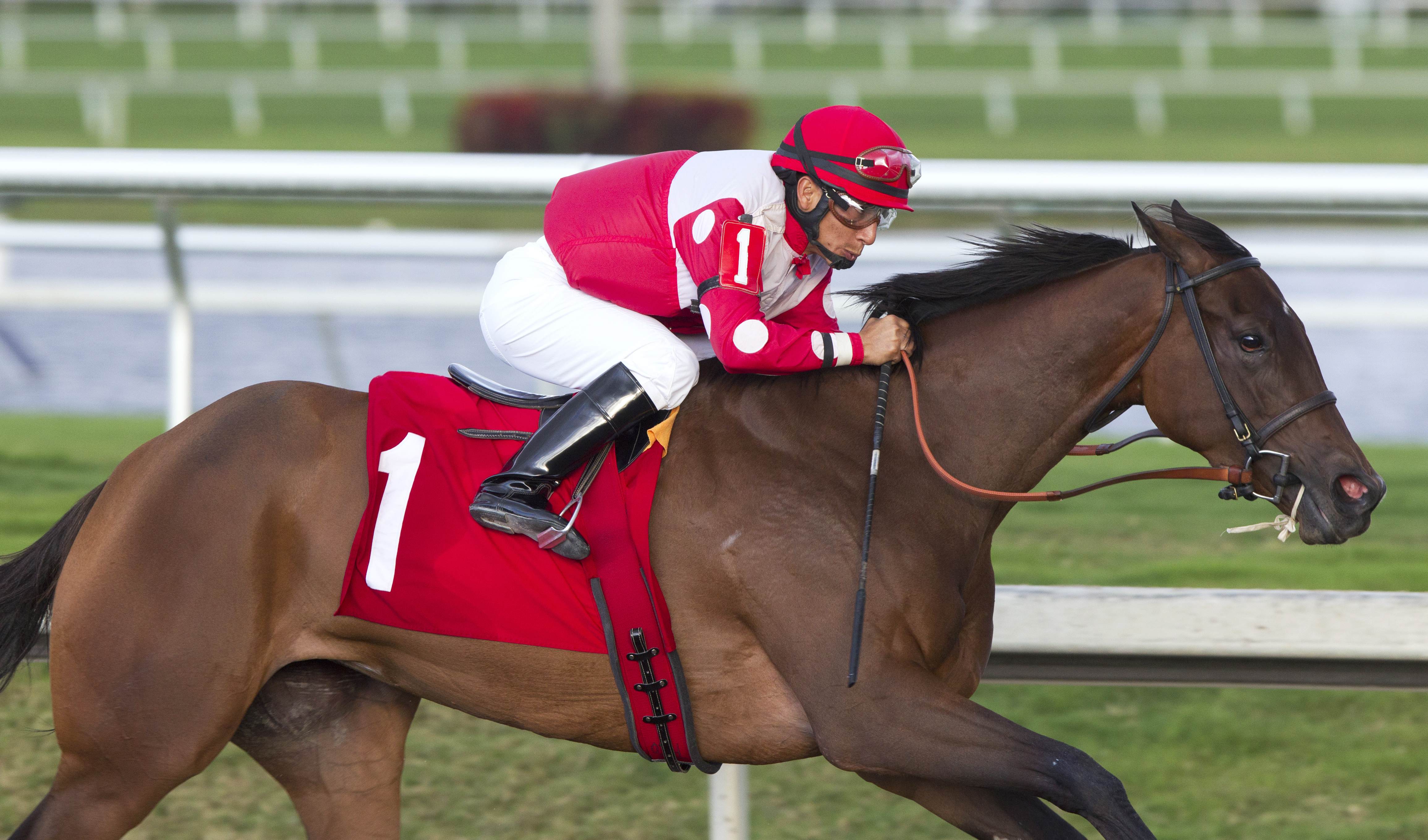 More Than a Party wins an optional claimer