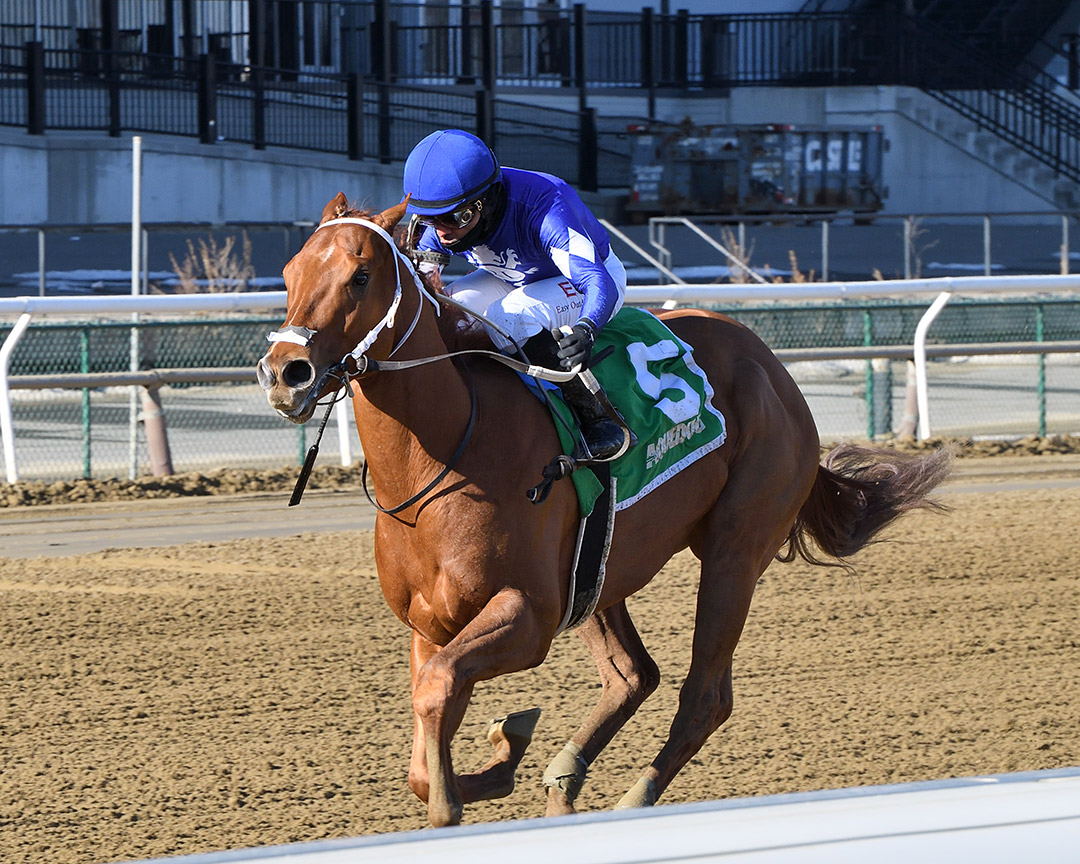 Morello wins the 2022 Jimmy Winkfield Stakes at Aqueduct Racetrack