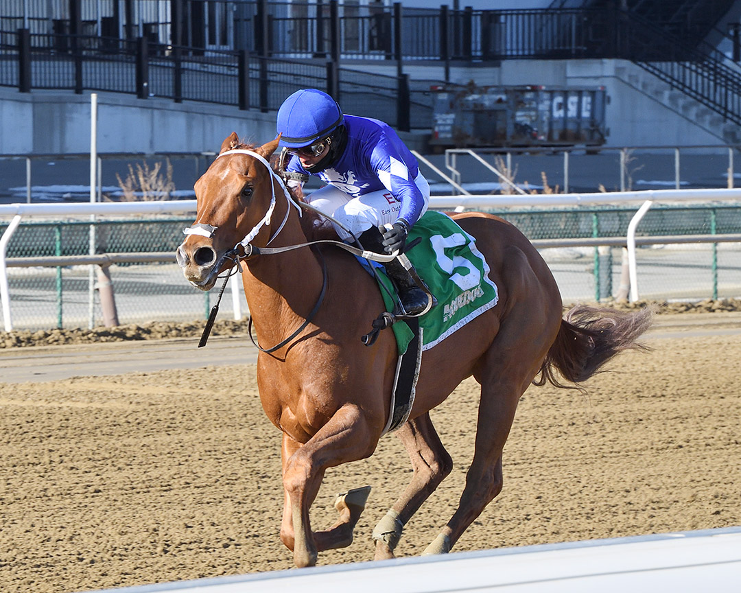 Morello wins the Jimmy Winkfield Stakes at Aqueduct Racetrack