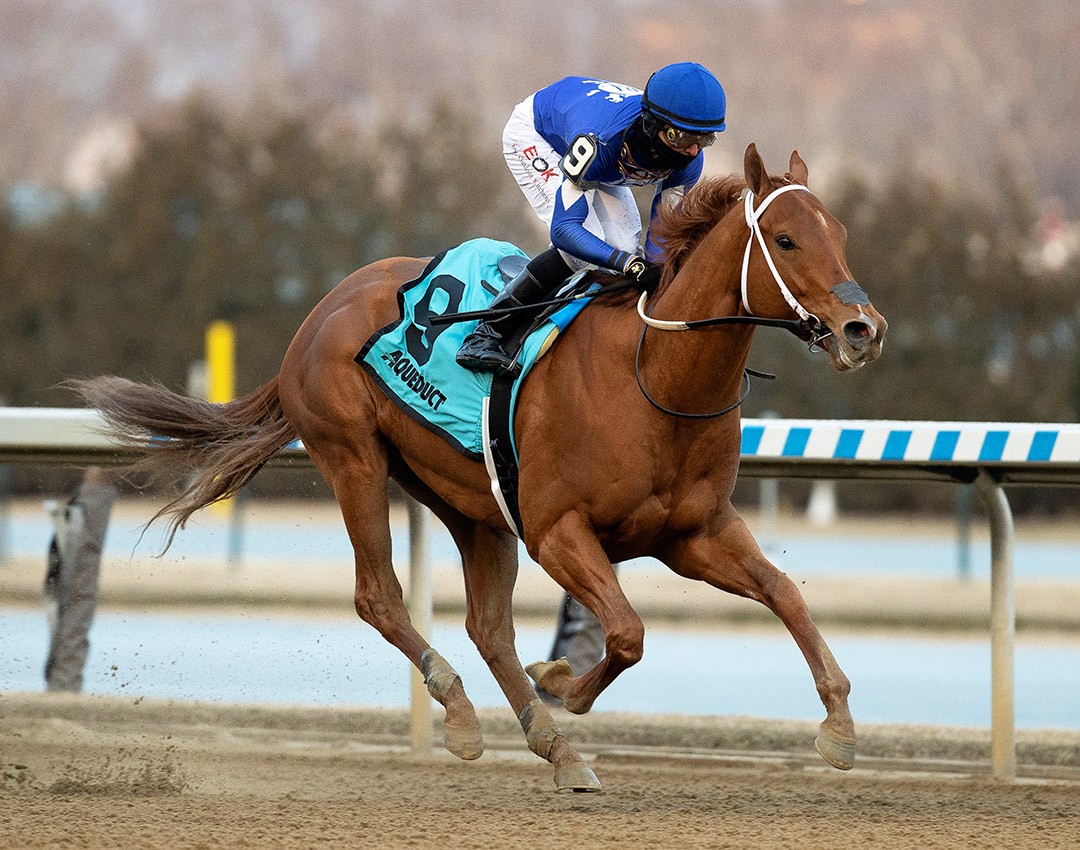 Morello wins the 2022 Gotham Stakes at Aqueduct
