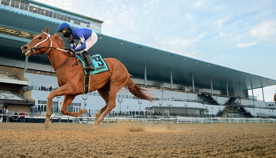 Morello wins the 2022 Gotham Stakes at Aqueduct