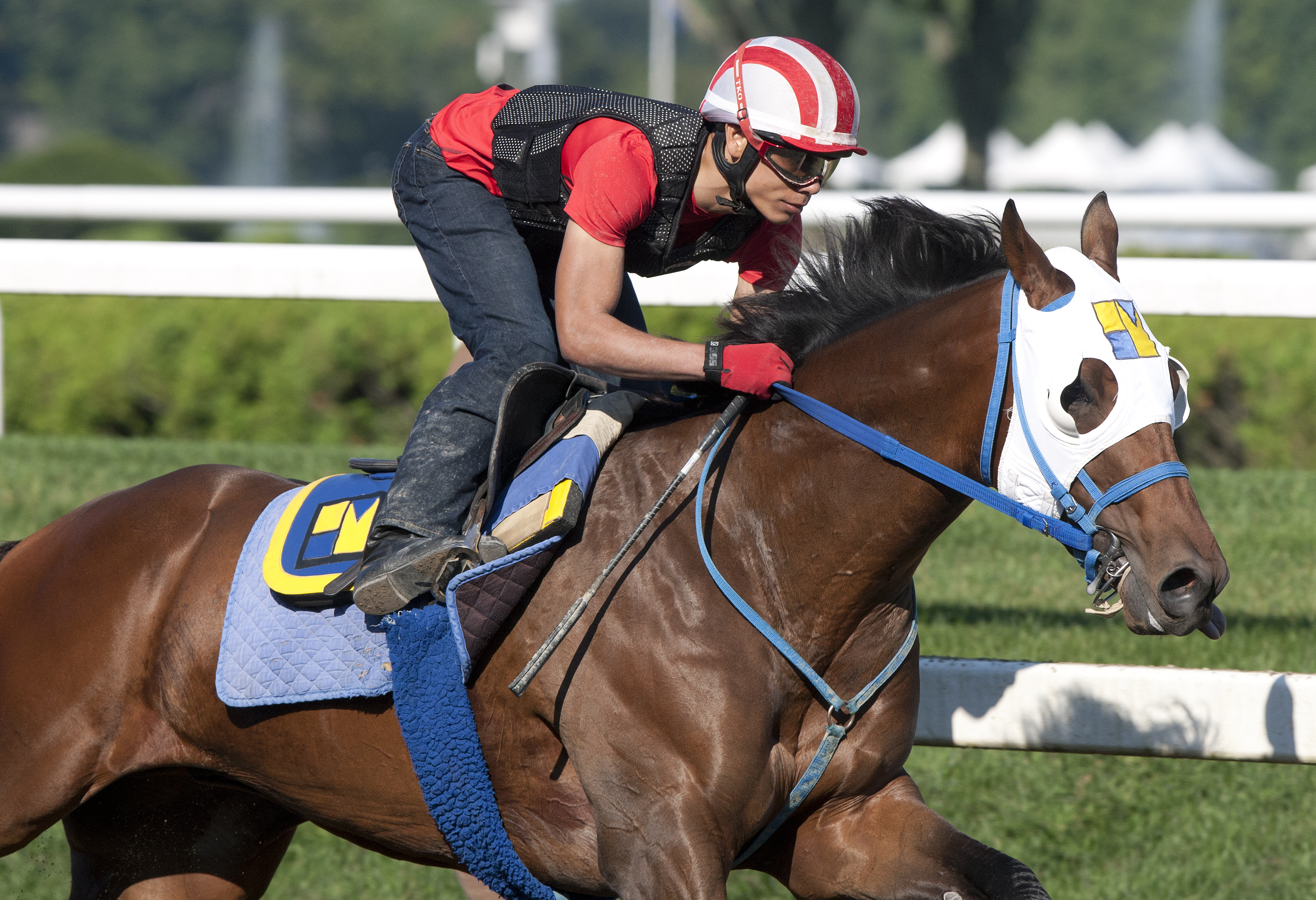Moreno, Saratoga, Aug. 17, 2013