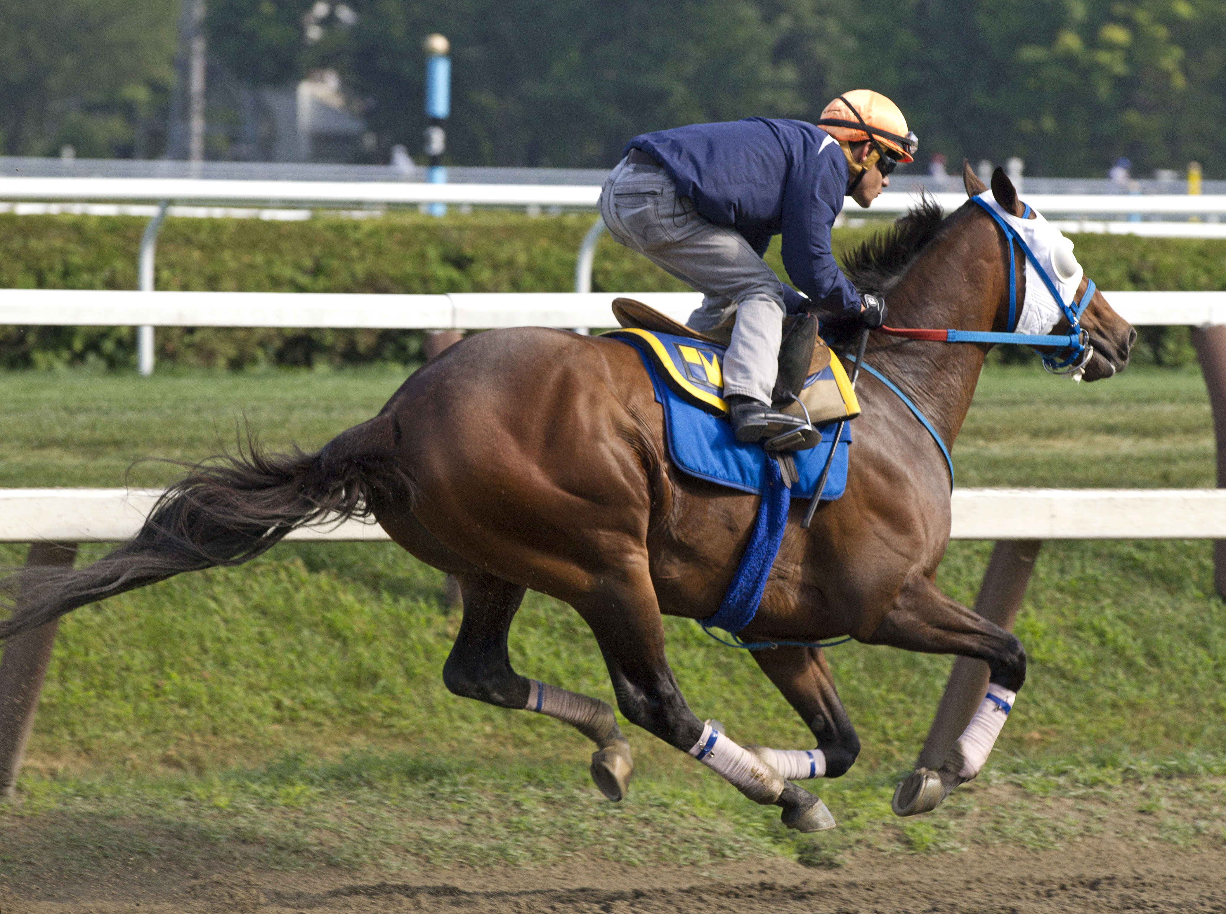 Moreno 7-26-2014