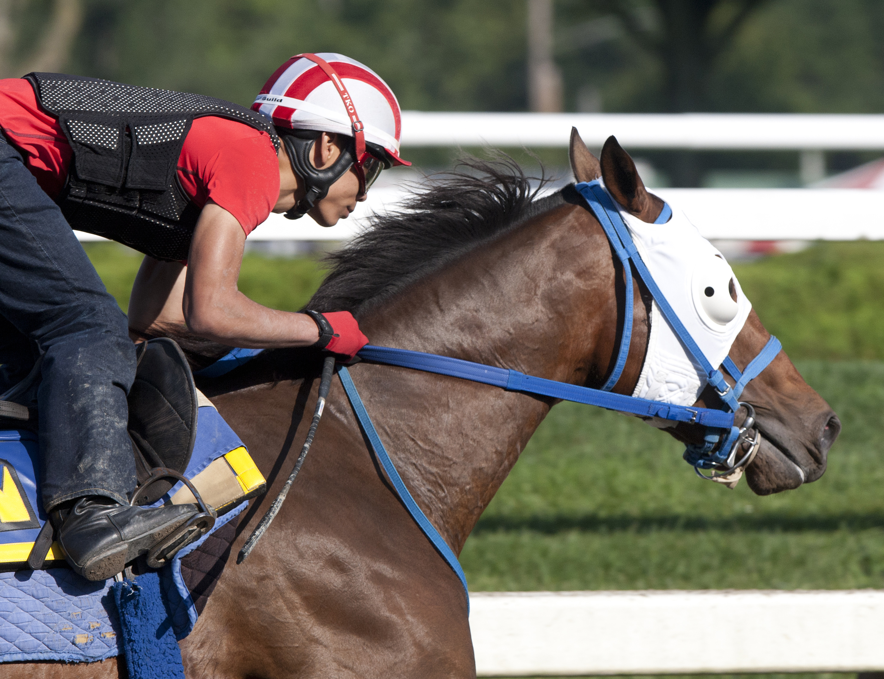 Moreno training at Saratoga on Aug. 17