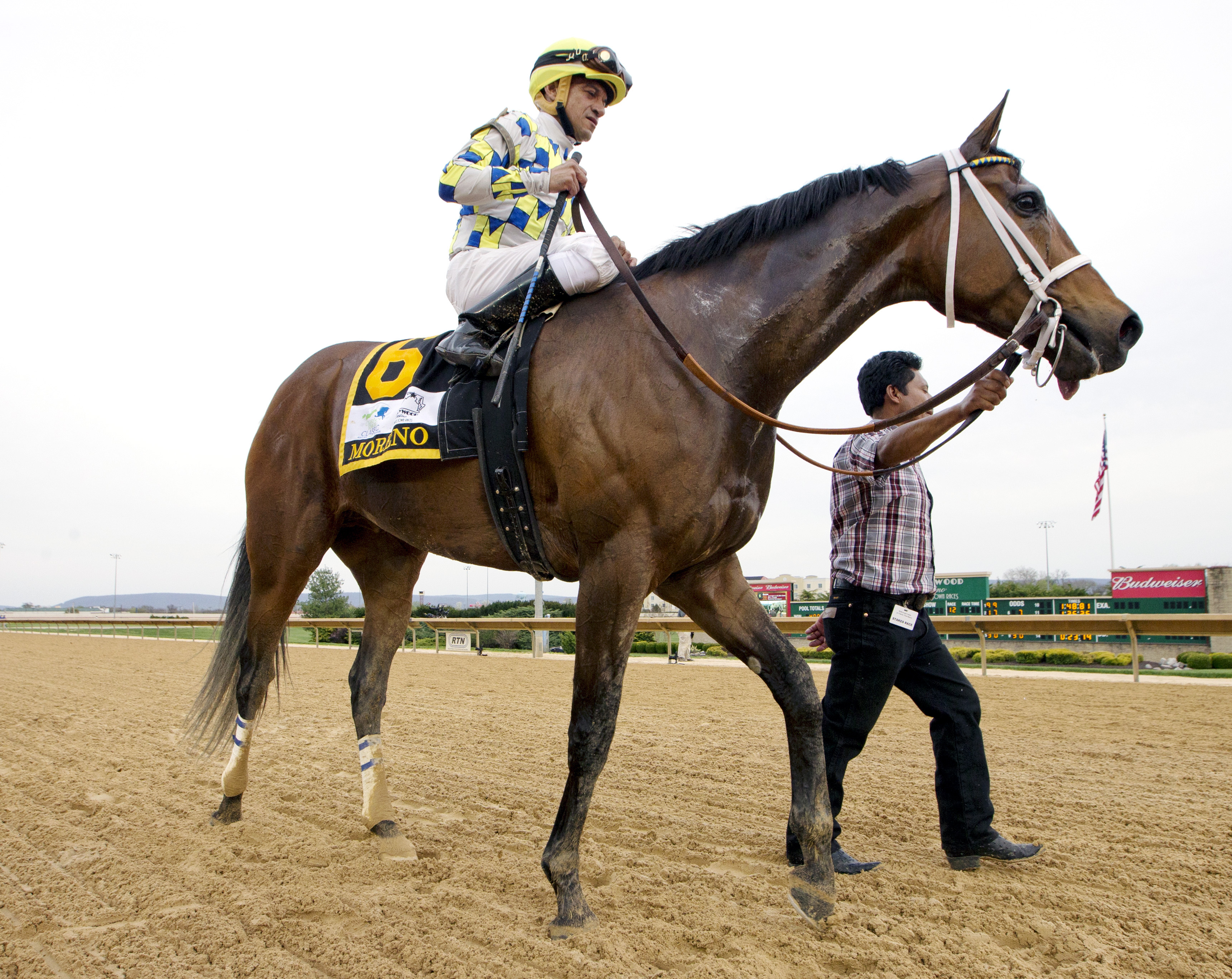 Moreno at the Charles Town Classic