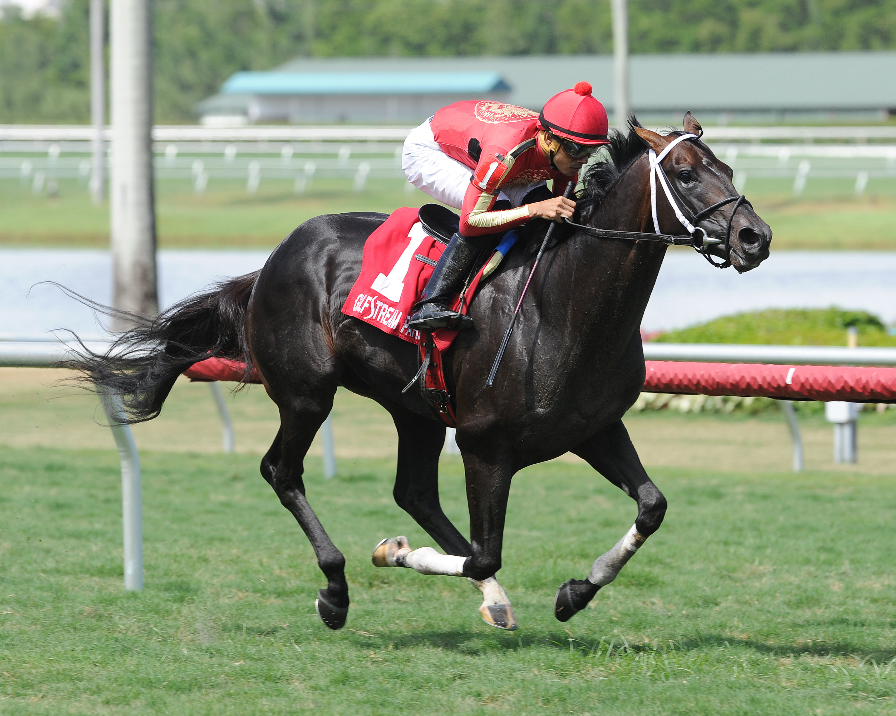 Morning Calm wins the Raymond Earl Handicap