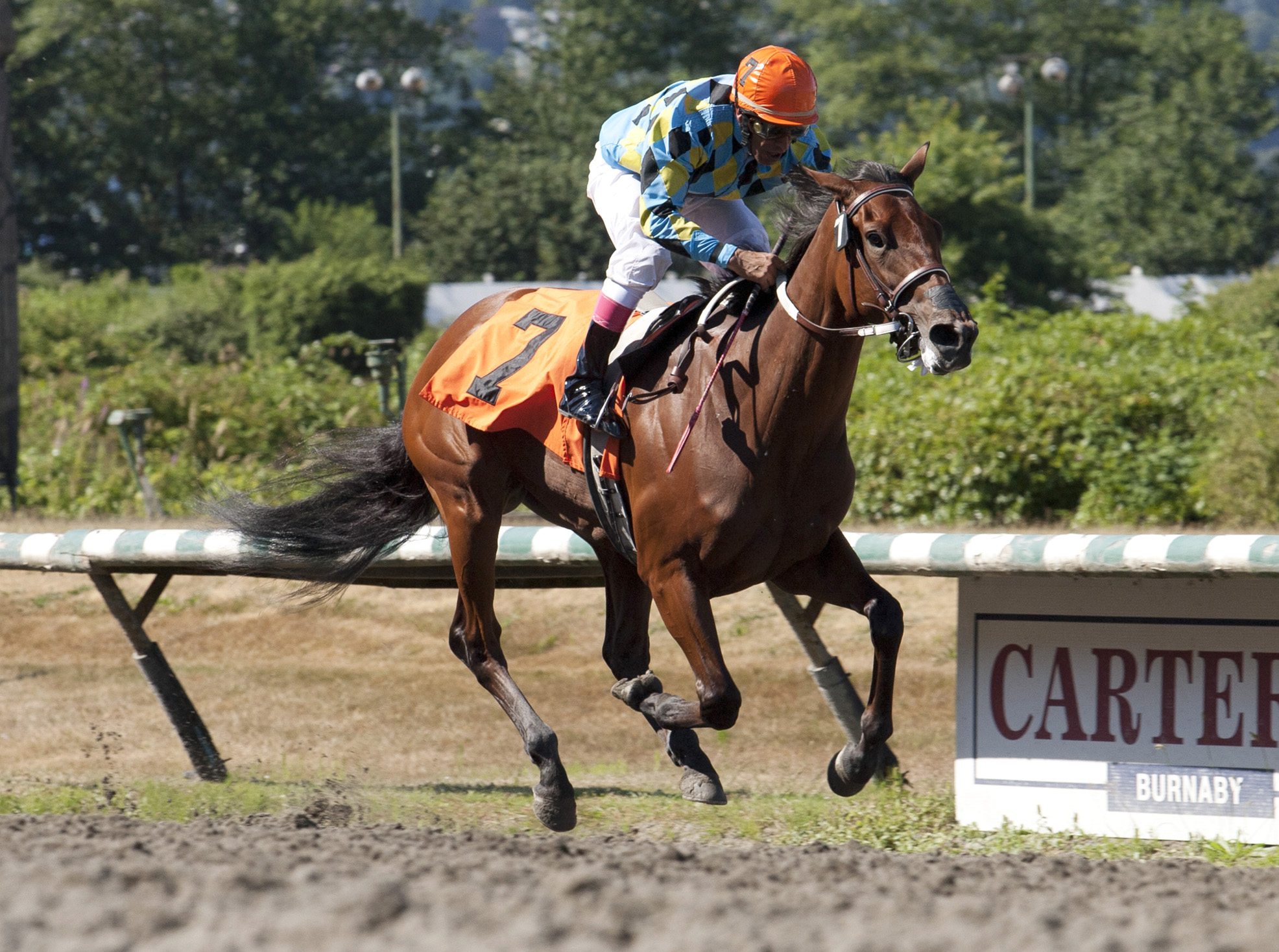 Morning Coffee wins the Supernaturel Stakes
