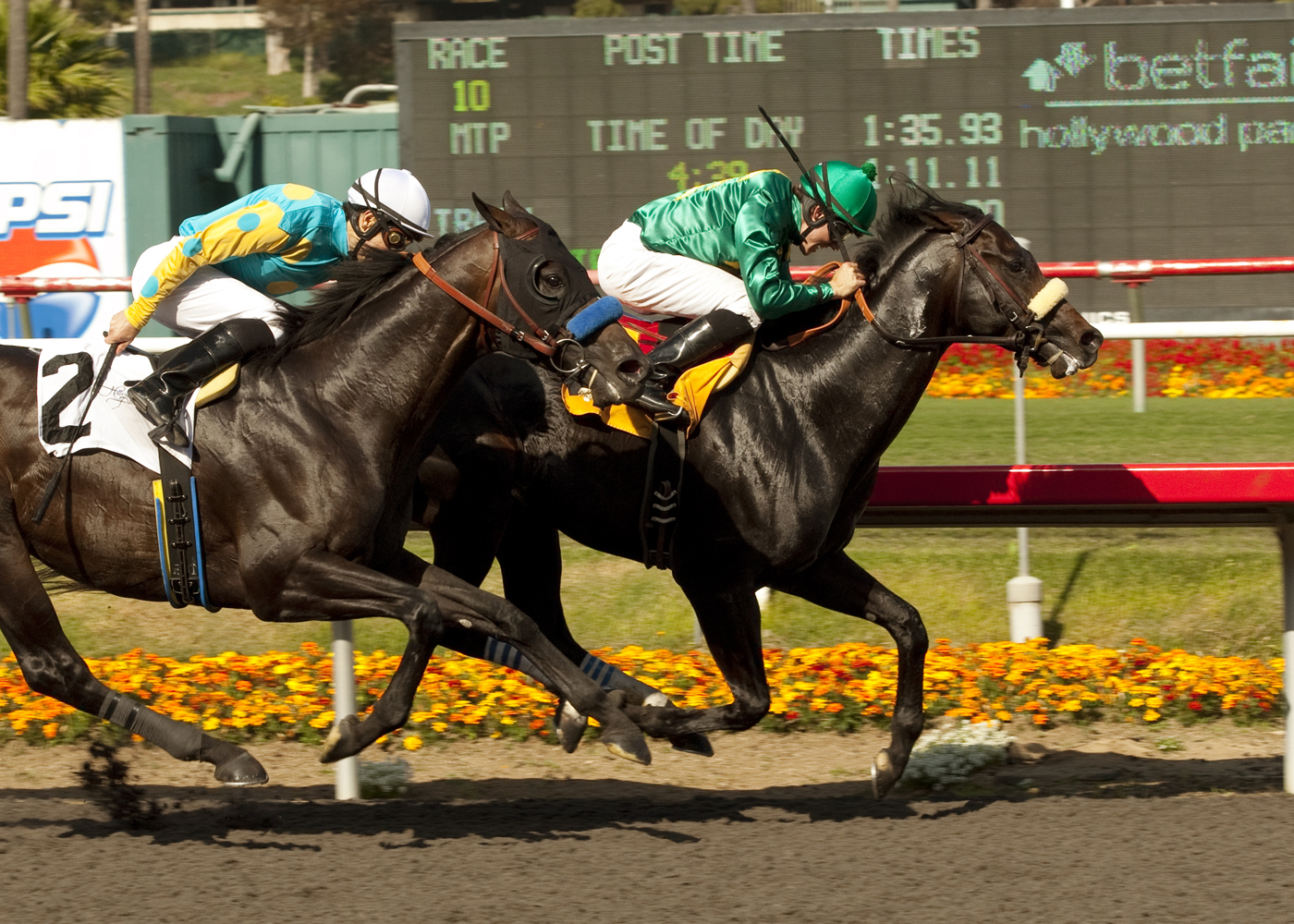 Prayer for Relief, Morning Line, 2012 Mervyn LeRoy Handicap