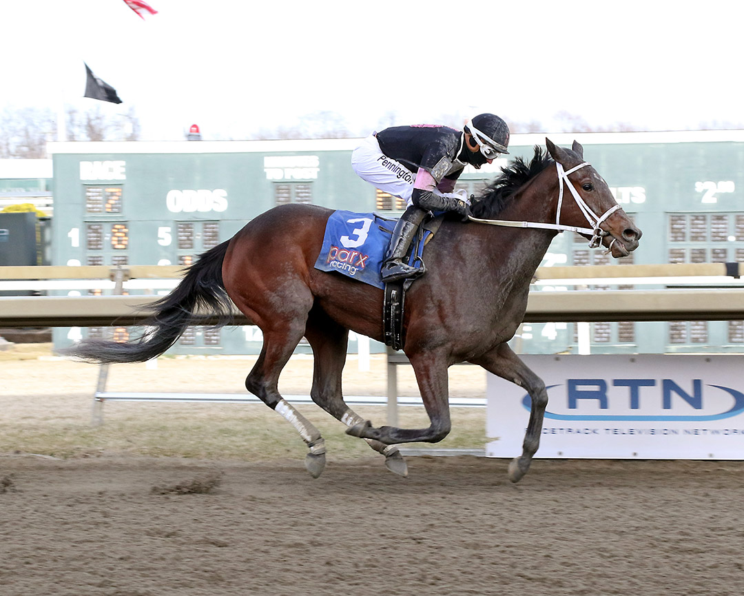 Morning Matcha wins the 2022 Main Line Stakes at Parx Racing