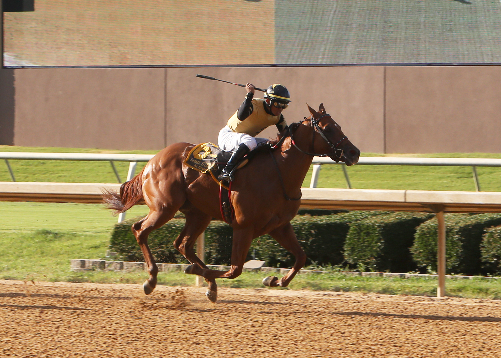 Moro Said Ready wins a Texas Thoroughbred Futurity division on 7.14.19