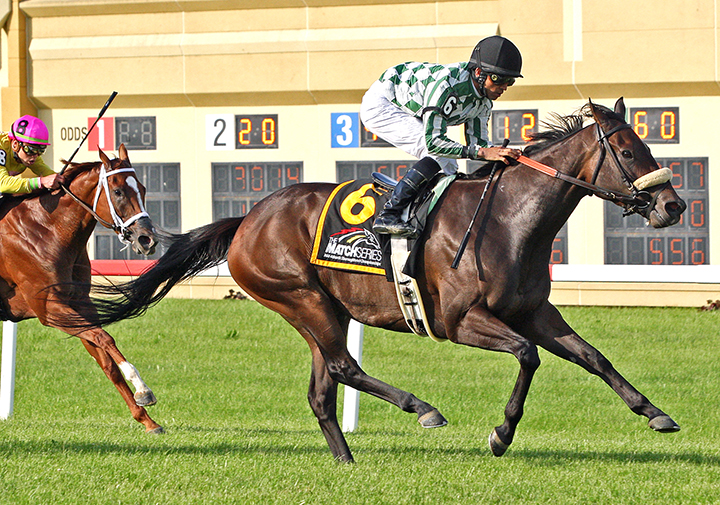 Morticia wins the Penn Ladies Dash Stakes