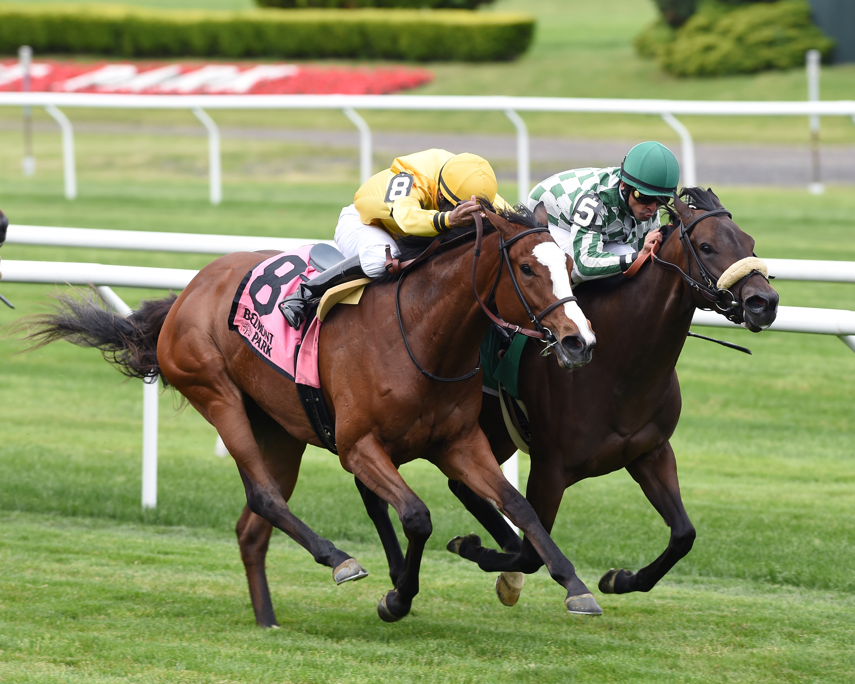Lull finishes second in the 2017 Soaring Softly Stakes